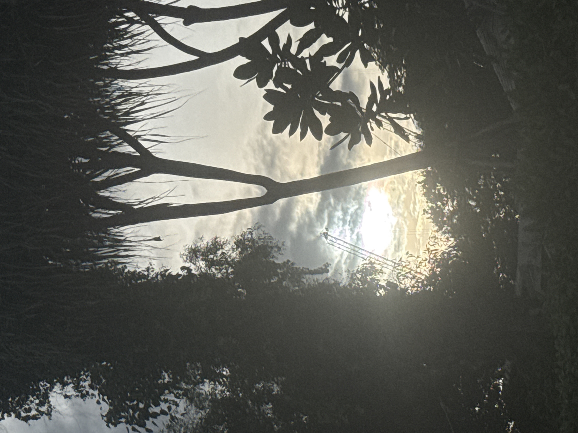 The image depicts a silhouette of tropical foliage against a cloudy sky, with the sun partially visible and casting a bright glow. In the background, a construction crane is silhouetted against the sky, suggesting ongoing development. The scene is captured from a low angle, looking upwards through the trees. The overall impression is one of an outdoor, possibly semi-urban or coastal environment, characteristic of locations like Hua Hin City Municipality, Thailand, known for its beaches and development.