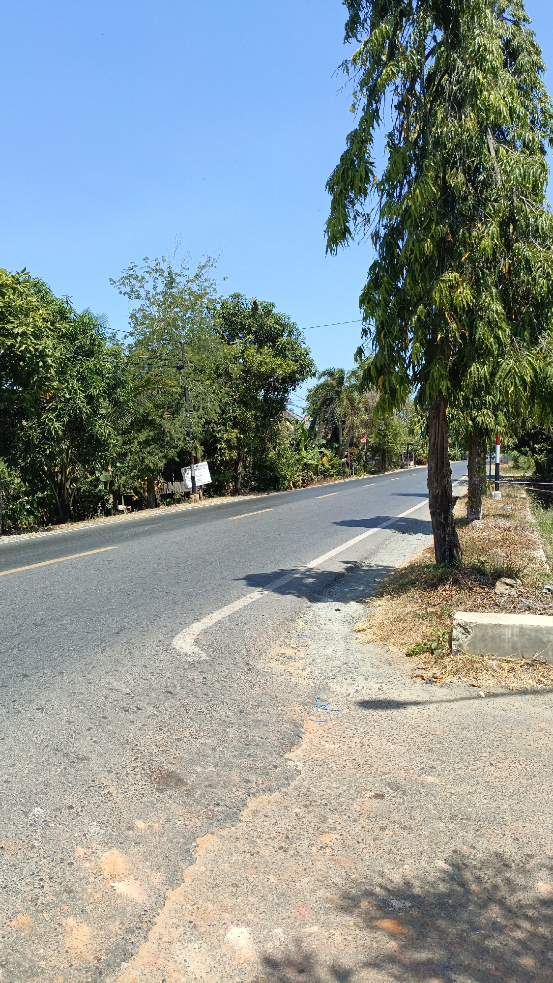 The image captures a view of a paved road in Mudalang, Indonesia, under a clear blue sky. The road is flanked by lush green trees on both sides, creating a natural, almost rural, setting. On the left side of the road, a dense line of trees and vegetation borders the asphalt. A white sign with some writing is visible on a wooden post among the trees. The right side of the road features more trees, including a tall, slender tree with dense foliage that casts a shadow on the road. The road itself is marked with a yellow line down the center and a white directional arrow on the edge. The ground beside the road is dry and covered with grass and a concrete block. The overall impression is one of a tranquil, sunny day in a semi-tropical environment.