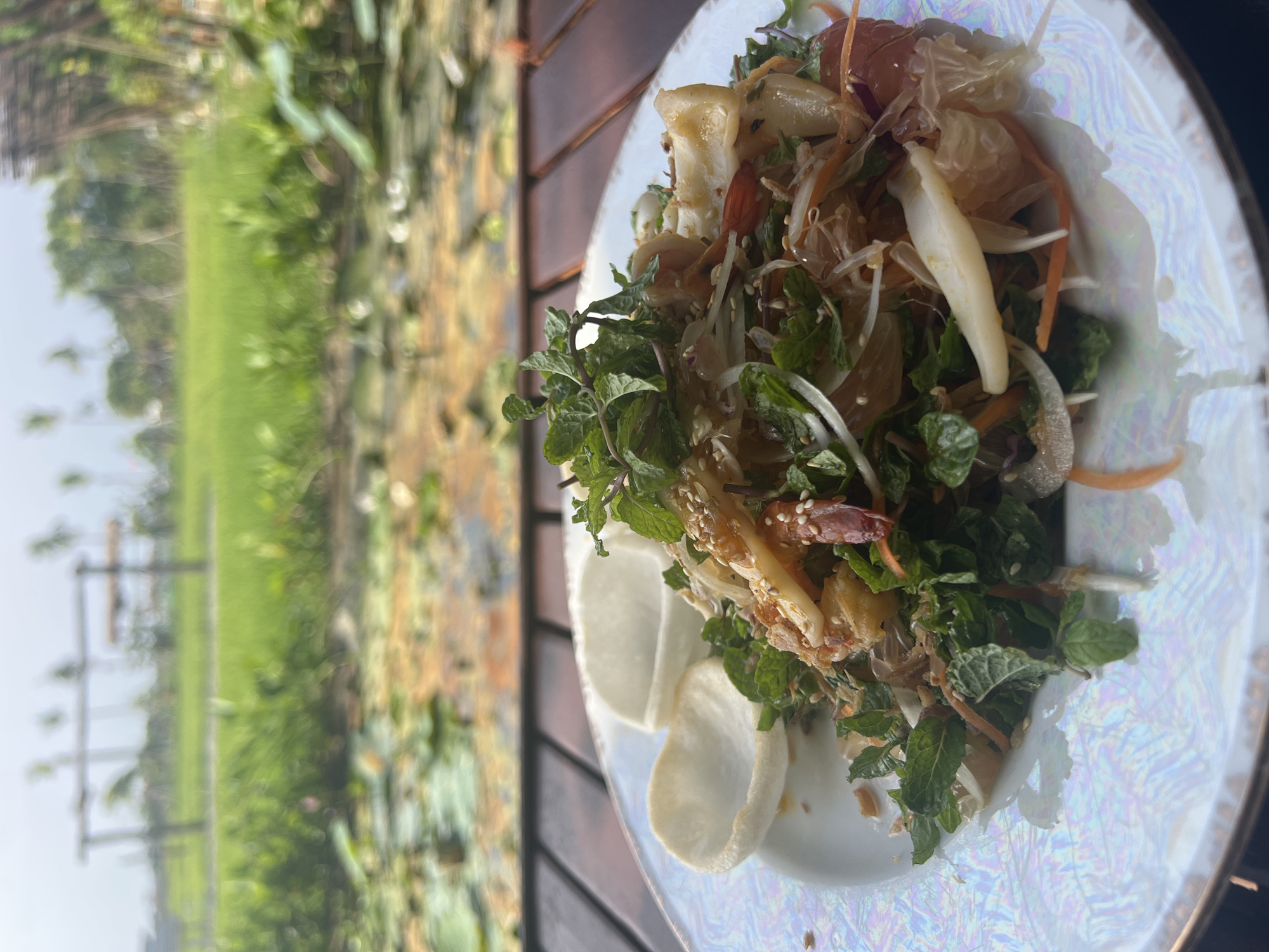 A close-up, eye-level shot features a white, iridescent plate of food set on a dark wooden table. The plate is filled with a colorful salad containing what appears to be shrimp, pomelo, shredded vegetables like carrots and onions, and fresh mint leaves, all sprinkled with sesame seeds. Two white, puffed crackers, shaped like shallow bowls, sit on the left side of the plate. In the blurred background, a lush green rice paddy with a pond covered in lily pads and a few lotus flowers is visible. In the far distance, a wooden structure resembling a gazebo or seating area can be seen against a hazy sky. This idyllic scene suggests a tranquil dining experience in Hoi An, Vietnam, likely at a restaurant or cafe with outdoor seating overlooking a natural landscape.