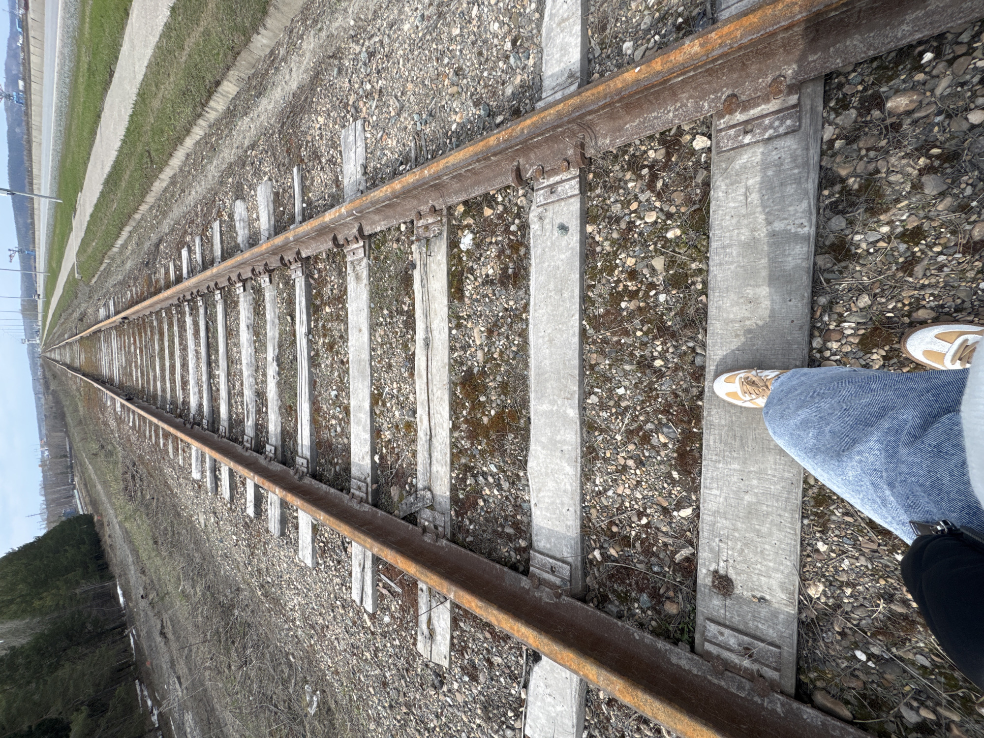 The image, taken in Chaikovsky, Russia, shows a low-angle perspective of railway tracks stretching into the distance under a clear blue sky. The view is oriented diagonally, with the tracks extending from the lower right to the upper left of the frame.
In the immediate foreground, a person's lower legs and feet are visible on the right side, suggesting they are standing near the tracks. The person wears blue denim jeans and light-colored sneakers with prominent yellow or tan detailing. One foot rests on a weathered concrete railway sleeper.
The railway tracks are the dominant feature, composed of two parallel, heavily rusted metal rails. These rails are laid upon a series of sleepers, which appear to be a mix of weathered concrete and darker, possibly wooden, materials. The ground beneath and around the tracks is covered with a bed of light-colored gravel ballast, interspersed with patches of dry grass, moss, and sparse, dormant vegetation.
As the tracks recede towards the horizon, they create a strong leading line, disappearing into the distance where the landscape becomes less defined. To the left of the tracks, a strip of dry, grassy terrain is visible, beyond which lies a dense line of dark evergreen trees, some with small patches of snow visible near their base, suggesting a cooler climate or recent thaw. On the far right horizon, there are indistinct elements that could be industrial structures or utility poles.
The scene is illuminated by bright daylight, indicating a clear and sunny day. The overall impression is one of a vast, open, and somewhat isolated landscape with an old, possibly infrequently used, railway line. No visible text is present in the image.