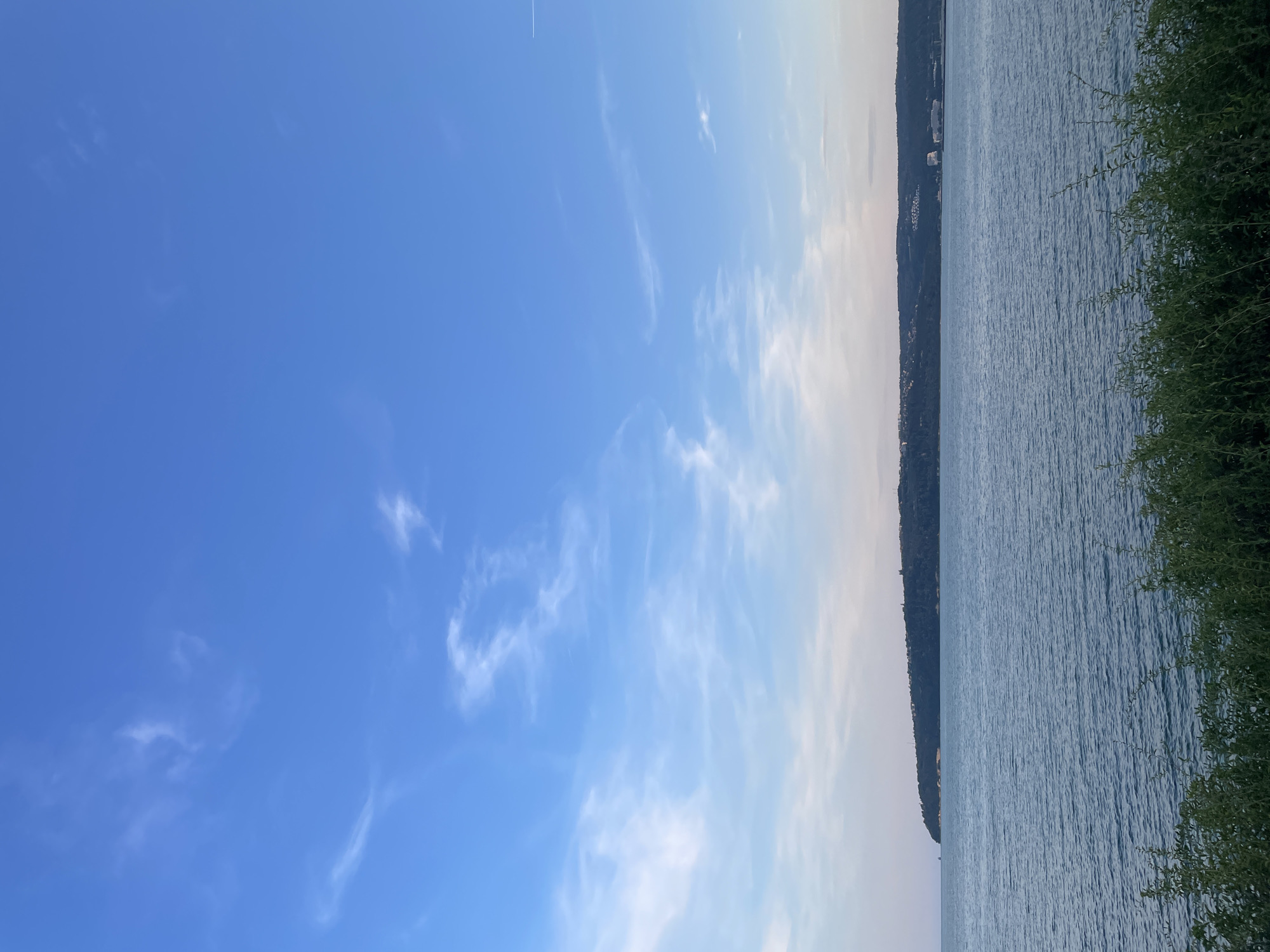 This image presents a broad coastal landscape, likely situated in the Varna, Bulgaria, region, offering an expansive view across a body of water toward a distant landmass. The sky, occupying approximately two-thirds of the frame, is a clear cerulean blue, gradually fading to a lighter, almost pastel blue-grey near the horizon, characteristic of late afternoon or early evening conditions. Wispy, scattered cirrus clouds are visible across the upper and middle sections of the sky. A faint, linear white contrail is discernible in the upper right quadrant.
The middle ground is composed of a vast expanse of relatively calm water, exhibiting subtle ripples and texture, colored in deep blue and grey tones. A distinct, low-lying landmass stretches horizontally across the horizon line, separating the water from the sky. This distant landmass is densely covered in dark green vegetation, suggesting a heavily forested cape or peninsula. Several clusters of buildings, predominantly light-colored, are visible along the distant shoreline, particularly concentrated towards the right side, indicating coastal development or settlements. A solitary, small, dark object, consistent with a boat, is faintly visible on the water near the far left point of the distant landmass.
The immediate foreground is characterized by a dense, horizontal band of vibrant green foliage, likely shrubs or low-lying plants, which partially obstructs the lowest section of the water. No individuals or discernible activities are present within the frame. The scene conveys a sense of serene natural beauty with distant hints of human presence along the coast of the Black Sea, consistent with views around Varna Bay or its surrounding coastal areas.