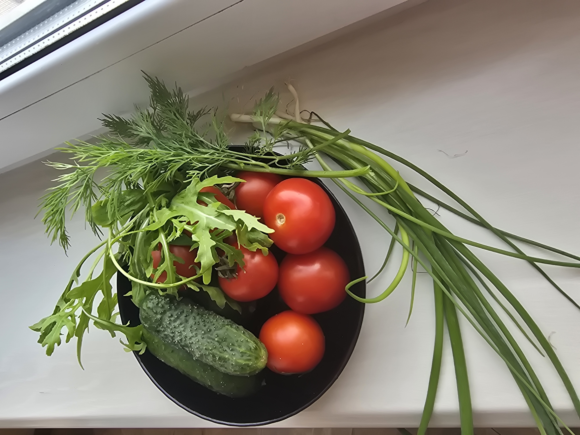 A black bowl filled with fresh vegetables, including two cucumbers, several red tomatoes, arugula, dill, and green onions, rests on a white windowsill. The scene is illuminated by natural light from a nearby window, casting soft shadows. The background is out of focus, suggesting an indoor setting. The overall impression is one of a simple, rustic display of healthy produce. The location of this scene is the city of Sofiivska Borshchahivka, Ukraine.