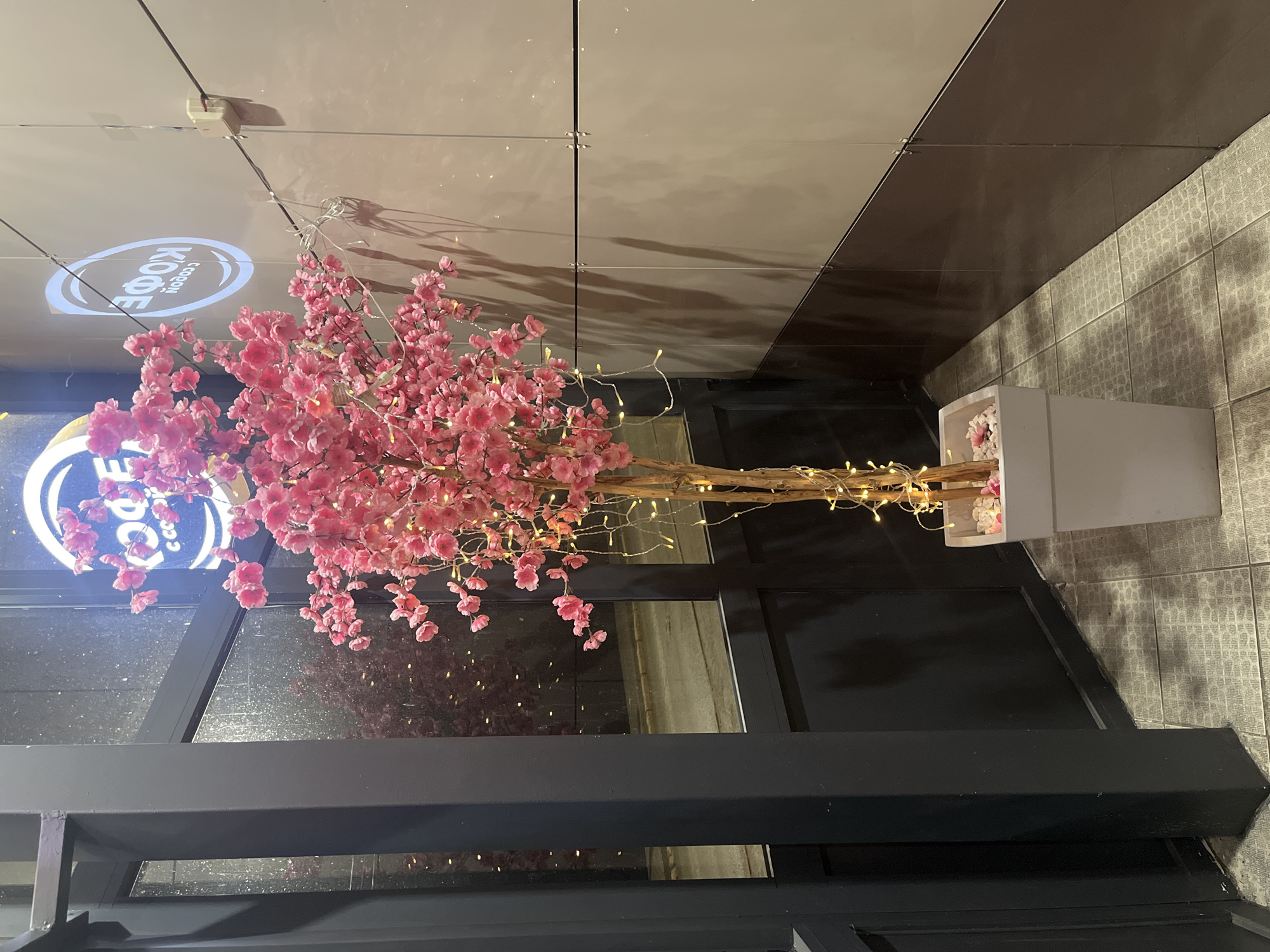 This image captures a decorative display within what appears to be the entrance or storefront of a commercial establishment, likely a coffee shop, in Izhevsk, Russia. The focal point is a vibrant artificial cherry blossom tree, heavily adorned with pink blossoms and delicate string lights that emit a warm, golden glow. This tree is housed in a white, square planter pot positioned on the floor.
Behind the tree, a large glass window or door reveals a dark exterior, indicating that the scene is set at night or during evening hours. Above, on a light-colored ceiling or upper wall surface, a projected image clearly displays the Russian word "КОФЕ" (Kofe), meaning "Coffee," with smaller text below it that appears to say "с собой" (s soboy), meaning "to go" or "takeaway." This visible text strongly suggests the location is a cafe offering takeaway services.
The surrounding architecture features sleek, reflective panels on the upper walls and ceiling, providing a modern aesthetic. To the right, a textured, tiled wall adds another layer to the interior design. Dark-toned structural elements, possibly part of the building's entrance framing or a railing, are visible in the foreground and midground. The scene is static, with no people present or activities taking place. The overall impression is one of a welcoming, modern, and aesthetically pleasing space, enhanced by the soft illumination of the string lights and the bright blossoms.
