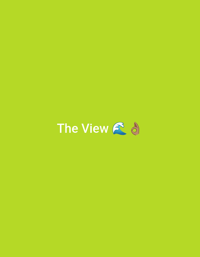 The image shows the text "The View" followed by a wave emoji and an OK hand emoji on a lime green background. There is no indication of location.