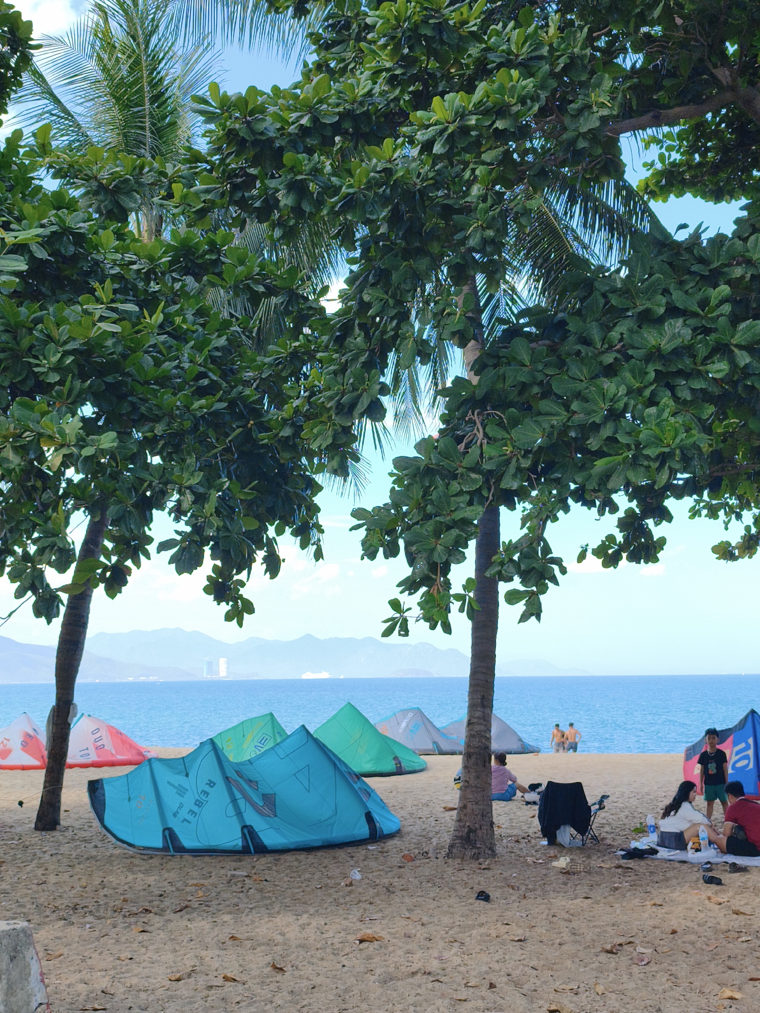 This is a photograph of a beach in Nha Trang, Vietnam, likely taken on a bright, sunny day given the clear blue sky and vibrant colors. In the foreground, a sandy beach is partially covered by fallen leaves and shaded by lush green trees, including what appears to be a palm tree on the left. Scattered across the beach are several kiteboarding kites, mostly in shades of turquoise, pink, and green, with some appearing deflated and others partially set up.
Further back, near the water's edge, a small group of people are visible. Some are sitting on blankets, possibly having a picnic, while others are standing or walking. In the distance, the calm, blue ocean stretches to the horizon, meeting a hazy outline of mountains. A large ship is visible on the water, and a tall building is present on the coastline in the far distance, indicating an urban or semi-urban setting. The overall atmosphere suggests a leisurely day at the beach, possibly associated with kiteboarding activities.
