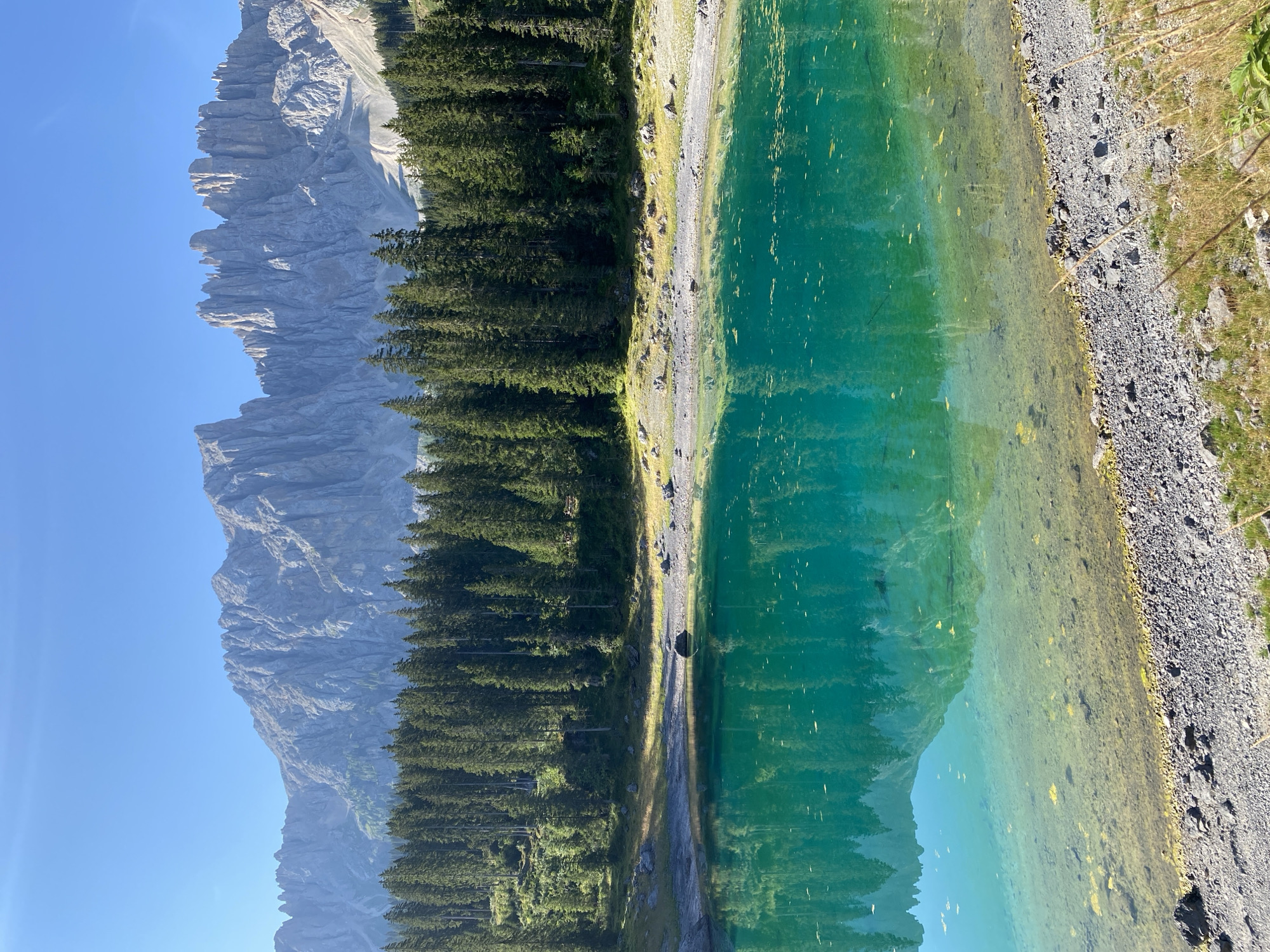 A clear, sunny day at Karersee (Lago di Carezza) in Welschnofen - Nova Levante, Italy, showcases the lake's vibrant turquoise water reflecting the surrounding environment. The foreground features a rocky shoreline with scattered stones and dry grass. The lake's surface is calm, with yellowing leaves floating on the water and a clear view of the pebbled lakebed in shallower areas. Behind the lake, a dense forest of tall, dark green coniferous trees stretches across the midground. Beyond the forest, a majestic mountain range dominates the background, its jagged, rocky peaks illuminated by the bright sunlight. The sky above is a clear, pale blue. No people or animals are visible in the image.