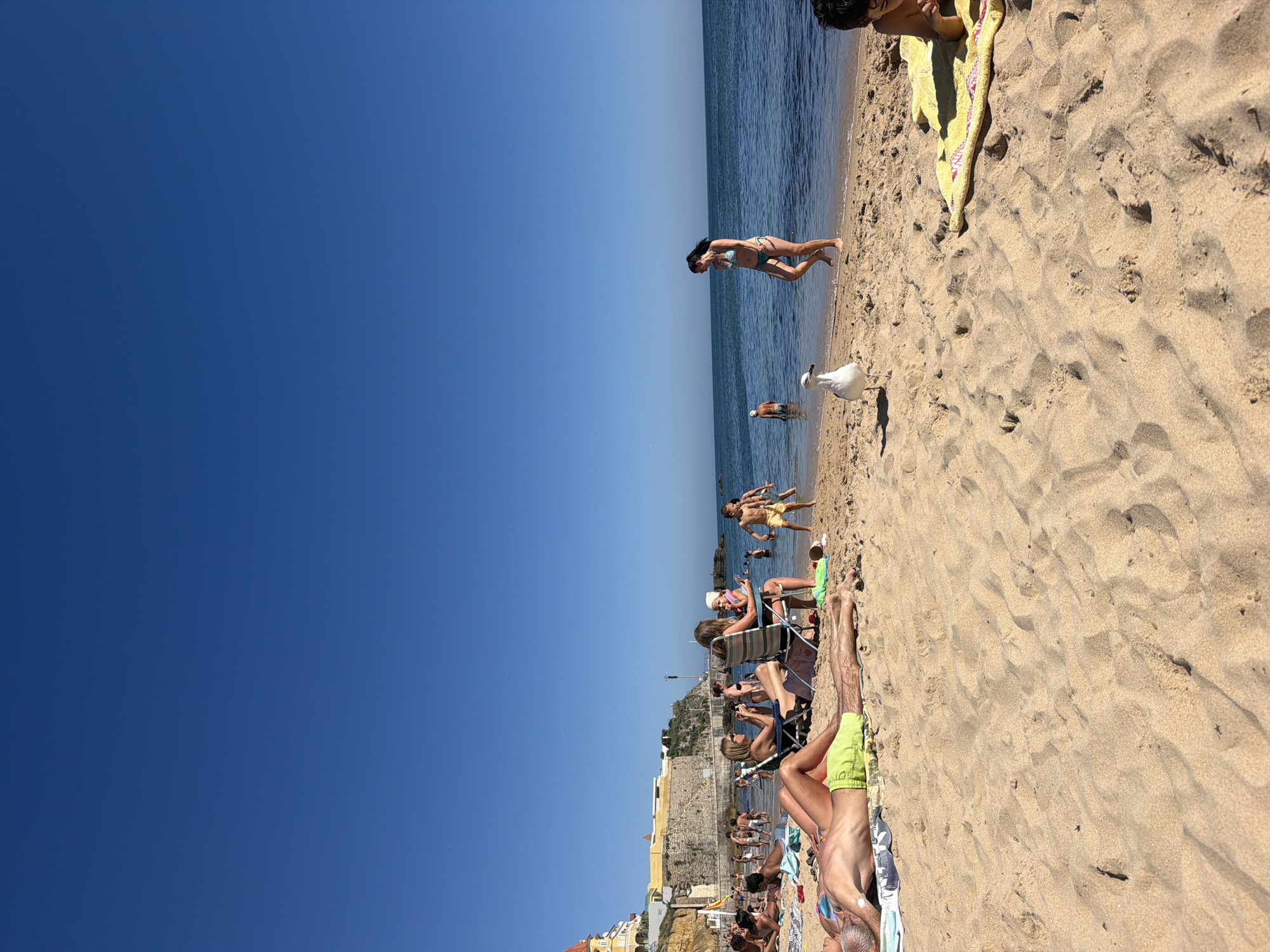This media file shows a sunny day at a beach in Cascais, Portugal. The scene is dominated by a clear blue sky and the sandy shore meeting the calm ocean. Several people are enjoying the beach, with some sunbathing on towels and beach chairs, while others are in the water.
A woman in a bikini is captured mid-air as she jumps into the shallow water. A seagull stands on the wet sand near the water's edge, observing the scene. In the background, there are buildings and a cliff face, suggesting a developed coastal area. The people are dressed in swimwear, and the overall atmosphere appears relaxed and recreational, indicative of a warm, summer day. The time of day appears to be midday, given the bright sunlight and the long shadows cast by some of the people. There is no visible text in the image.