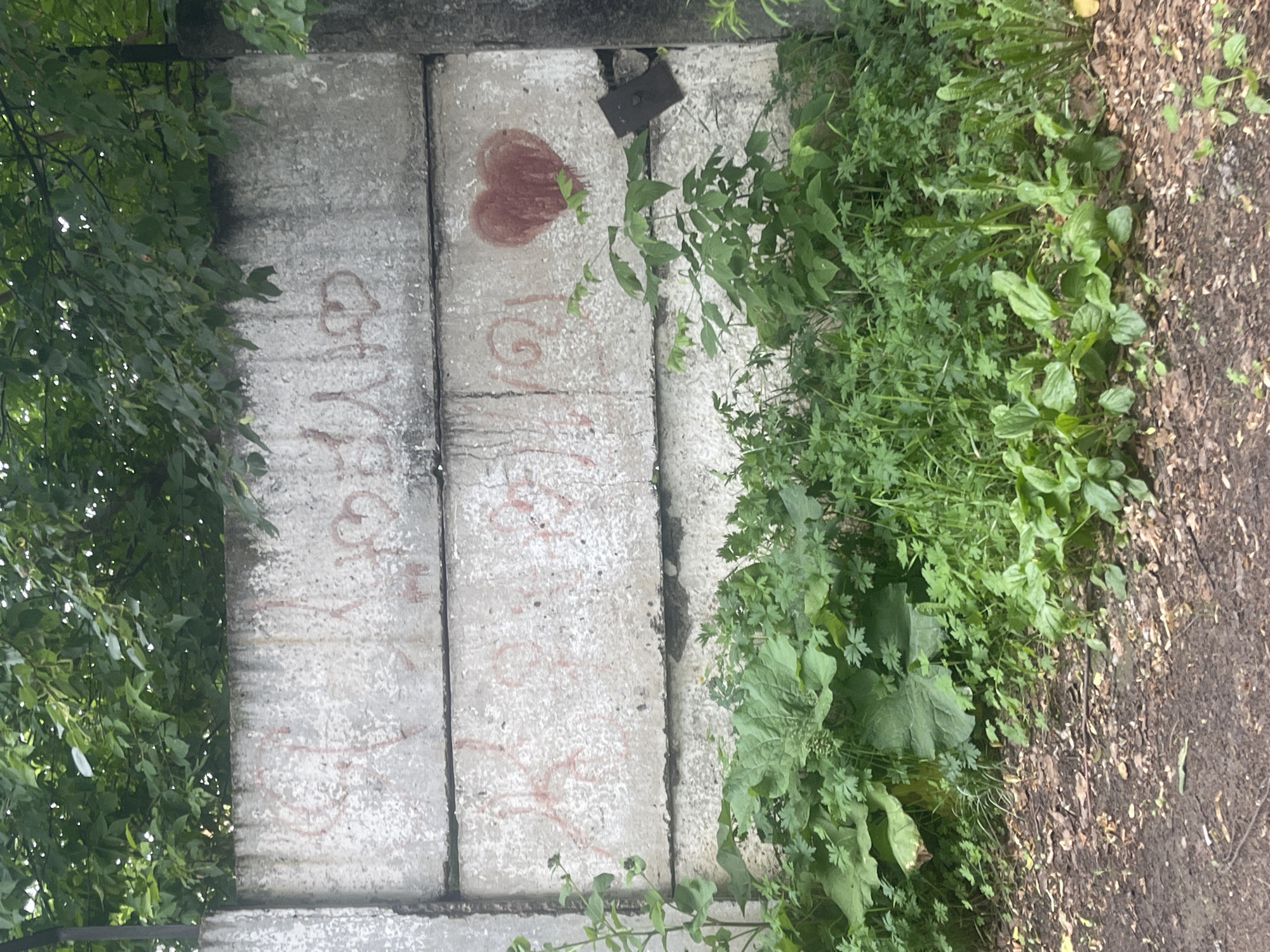 The image shows a concrete wall with red graffiti and a heart drawn on it. The wall is made of several rectangular concrete slabs stacked on top of each other. The graffiti appears to be in Cyrillic letters and includes a roughly drawn heart shape. The wall is situated outdoors, with green trees and foliage overhanging the top and growing in front of it. The ground in front of the wall is covered with dirt, leaves, and some patchy vegetation. The scene suggests an urban or semi-urban environment, possibly in a park or an undeveloped area. The overall impression is one of weathering and neglect. Without further context, it is impossible to pinpoint the exact location within the city of Chaikovsky, Russia.