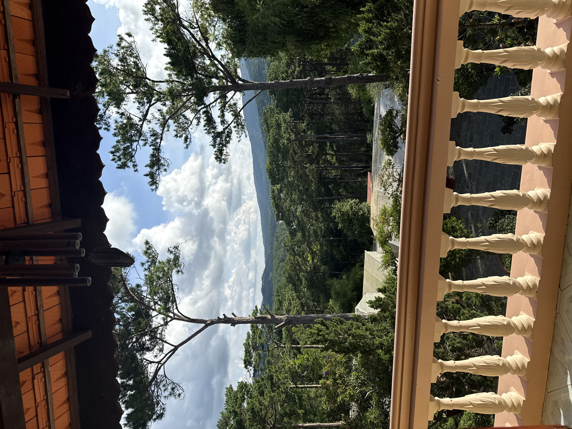 The image captures a view from a balcony in Da Lat, Vietnam, overlooking a lush pine forest. The foreground features a light pink-colored balcony railing with ornate white balusters. Beyond the railing, a dense forest stretches across rolling hills under a partly cloudy blue sky. Two tall pine trees stand prominently in the mid-ground, their branches reaching towards the sky. In the distance, layers of mountains are visible. Below the trees, there appears to be a greenhouse-like structure with a white roof. The overall scene suggests a peaceful, natural setting.