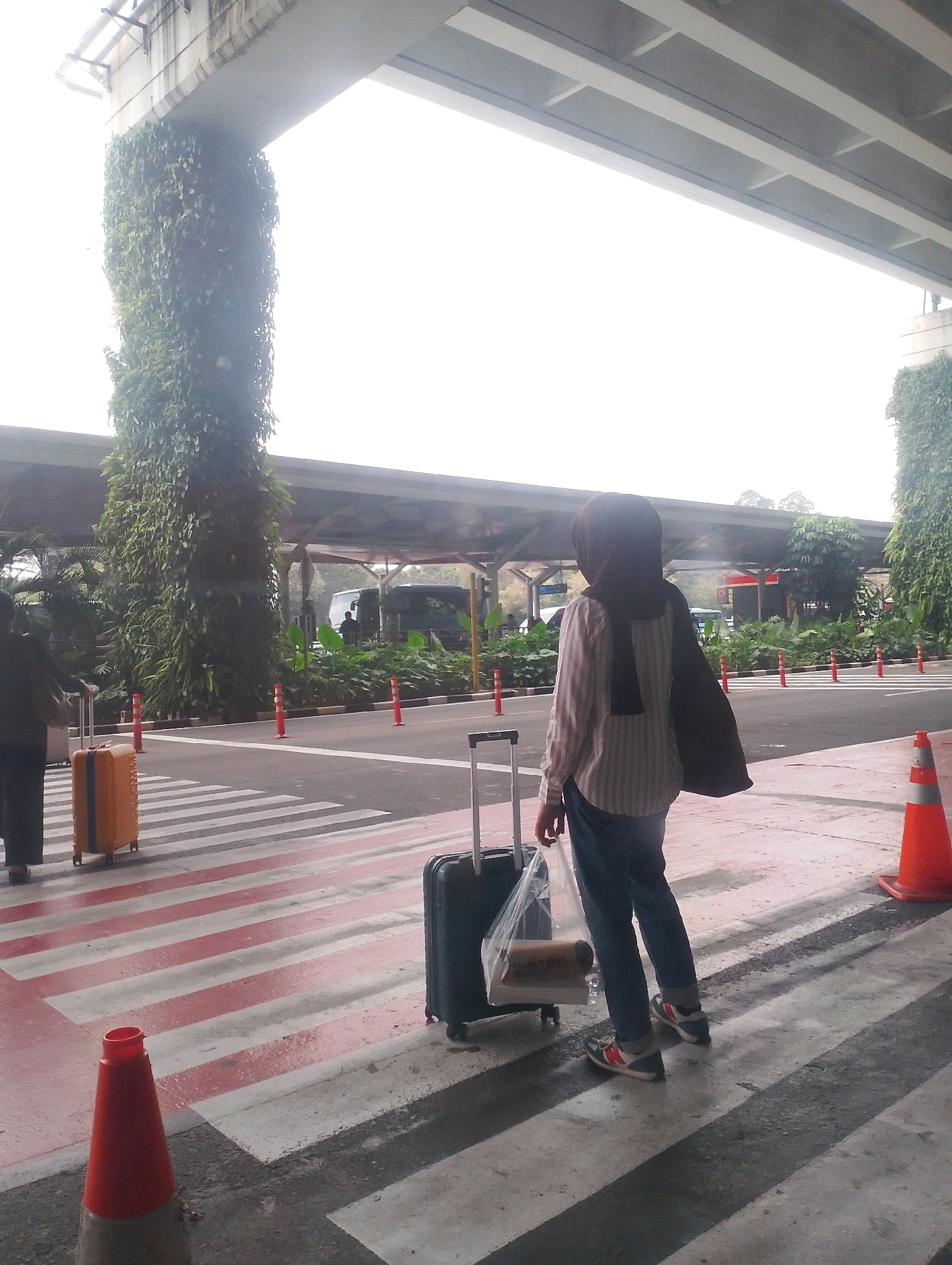 In the city of Tangerang, Indonesia, an outdoor scene unfolds at what appears to be an airport terminal or transportation hub. The foreground is dominated by a pedestrian crossing marked with white and red stripes. A person wearing a dark hijab, a striped long-sleeved shirt, and blue jeans stands facing away from the camera, holding a plastic bag containing a rolled item, and is accompanied by a black rolling suitcase. To the left, partially visible, is another person in dark clothing with an orange rolling suitcase.
The background reveals a covered walkway or overpass supported by pillars, one of which is heavily covered in green foliage. Beyond this, a road is visible with several orange traffic cones and green vegetation lining the median. A bus or van and other structures can be seen in the distance, suggesting a busy area. The sky is overcast, contributing to a diffused lighting condition. The overall impression is one of arrival or departure, with individuals navigating the area with their luggage.