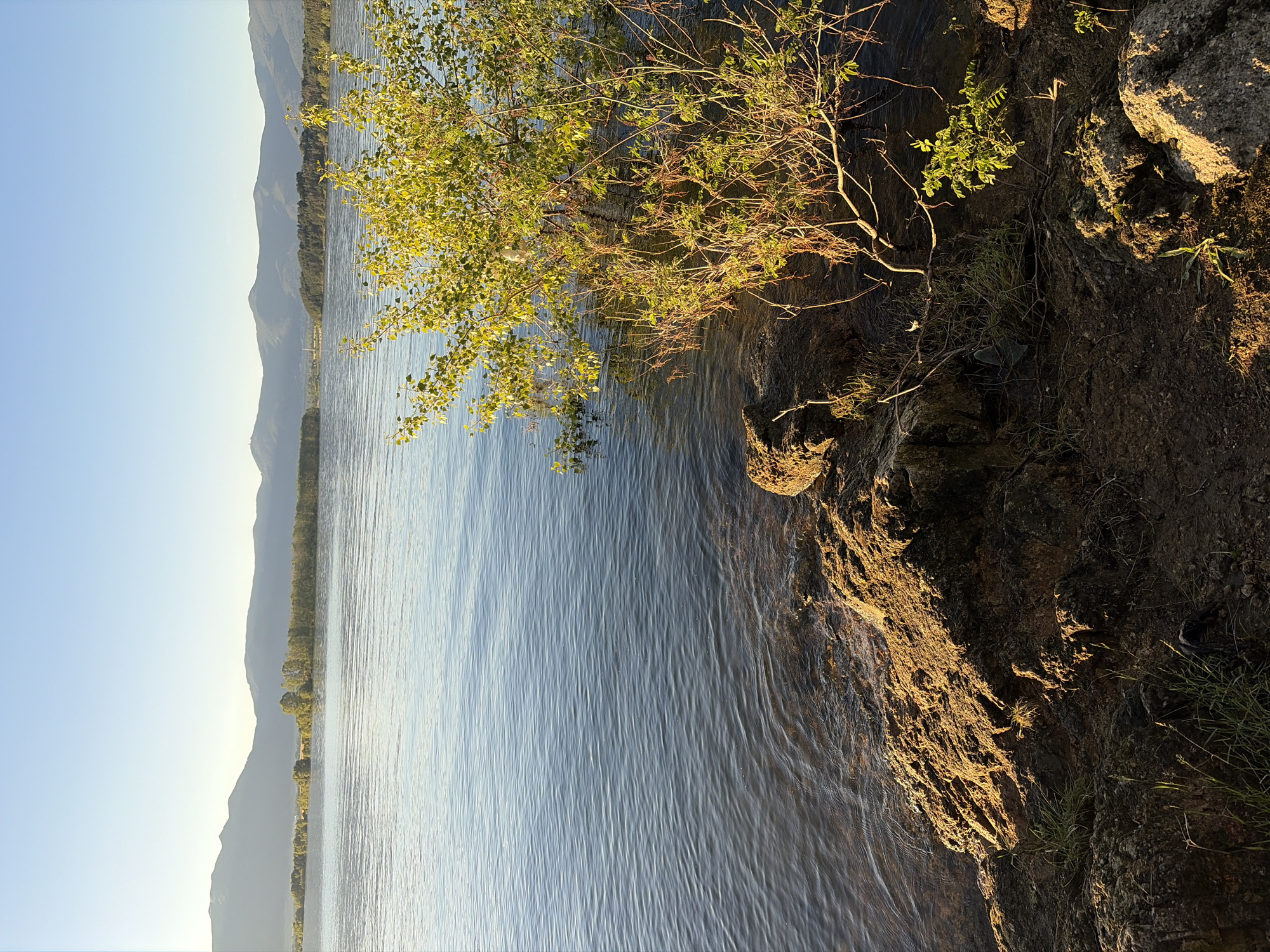 The image depicts a tranquil lakeside scene with mountains in the background, bathed in the warm glow of the early morning or late afternoon sun. The water is calm with gentle ripples, reflecting the clear blue sky. Along the rocky shore, a small tree with vibrant green leaves reaches out towards the water. The landscape suggests a natural, undeveloped environment, typical of the area surrounding Koprinka Dam in Bulgaria. There are no people or animals visible in the frame.