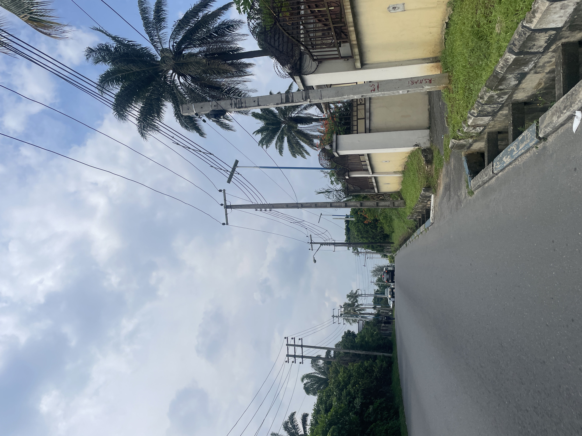 The image depicts a daytime street scene in Port-Harcourt, Nigeria, under an overcast sky with scattered, light-colored clouds. A paved asphalt road, likely a two-lane thoroughfare, extends into the distance.
On the left side of the road, multiple utility poles, a mix of wooden and concrete, support a complex web of black power lines that stretch across the frame. Several prominent palm trees with dark fronds are visible, both in the foreground and receding into the distance, alongside other dense green foliage lining the street.
The right side of the road features a concrete drainage ditch or gutter, bordered by a strip of green grass. Beyond the grass are two-story buildings with light yellow walls and dark fences or gates. One building has a metal fence topped with what appears to be razor wire. On a concrete utility pole near these buildings, the numbers "2.5" and the text "RS.MARI" are visible in red or orange.
A few vehicles are faintly discernible in the distance on the road. The scene is devoid of people. The diffused light suggests it is either mid-day or early afternoon on a cloudy day.