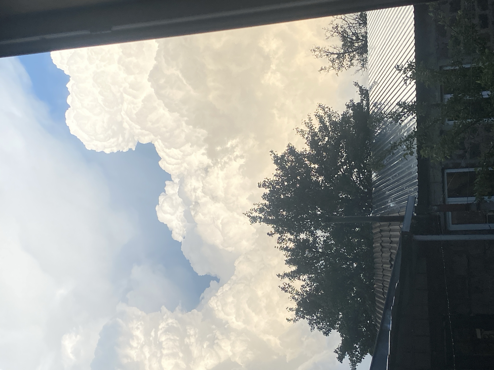 A view from indoors looks out onto a partly cloudy sky and rooftops. Towering cumulus clouds dominate the upper portion of the frame, catching the sunlight and appearing bright white against patches of blue sky. Below the clouds, the dark silhouette of a large tree branches out, with its leaves obscuring part of the sky. In the foreground, two rooftops are visible. The left rooftop is darker and appears to be made of corrugated metal, while the right rooftop is made of clay tiles. A dark vertical pole, possibly a chimney or pipe, rises from the tiled roof. The lower part of the image shows the top of a building with a stone facade and some windows. The overall impression is of a somewhat overcast day, with dramatic clouds suggesting potential weather changes.