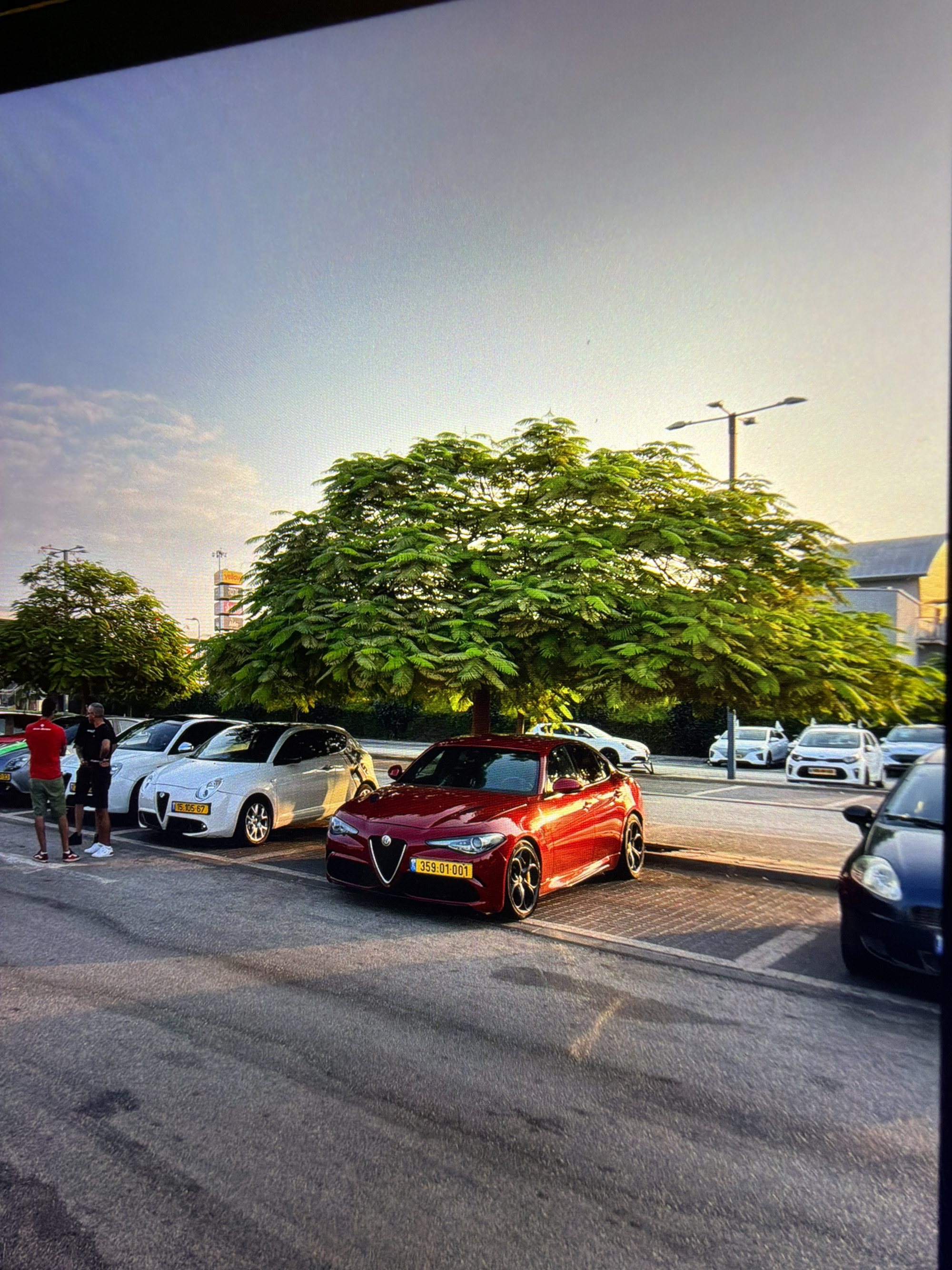 The image shows a parking lot with several cars parked under a large tree with green foliage. In the foreground, a red Alfa Romeo Giulia is parked. To its left, there are two white Alfa Romeo MiTo cars. Two men are standing near the white cars. One is wearing a red t-shirt and khaki shorts, and the other is wearing a black t-shirt and black shorts. In the background, other cars and trees are visible, as well as a street light and a tall building with signage, including the word "yellow" on a sign. The scene appears to be an outdoor daytime setting. This location is in the city of Kafr Yasif, Israel.