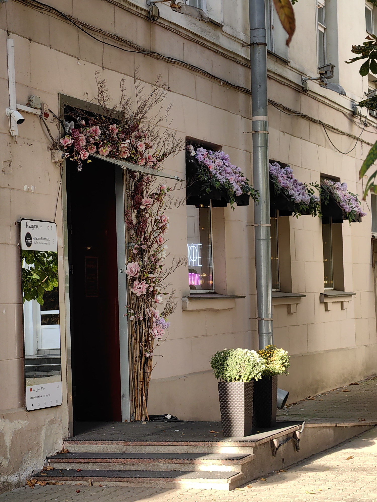 The image depicts the entrance to a cafe, identified as "cafe.muffin.minsk" on an Instagram mirror, located at Moskovskaya 16 in Minsk, Belarus. The cafe has a light-colored facade. The entrance is an open doorway framed by an elaborate floral archway. This archway is constructed with thin branches and adorned with numerous artificial flowers in shades of pink and white.
Above the windows flanking the entrance, there are black awnings from which cascades of delicate purple flowers hang. One of the windows displays a neon sign that reads "COFE" in a pink glow. To the left of the entrance, a tall, thin mirror is mounted on the wall, displaying a simulated Instagram feed with the cafe's username and address.
In front of the cafe, a set of concrete steps leads up to the entrance. The steps are worn and show signs of age. At the base of the steps, on the right side, are two dark brown planter boxes filled with lush green and yellow foliage. The ground surrounding the cafe is paved with interlocking bricks, and fallen leaves are scattered on the steps and pavement, indicating an autumn season. A downspout runs vertically along the building facade near the entrance. Security cameras are visible mounted on the wall near the top of the entrance.