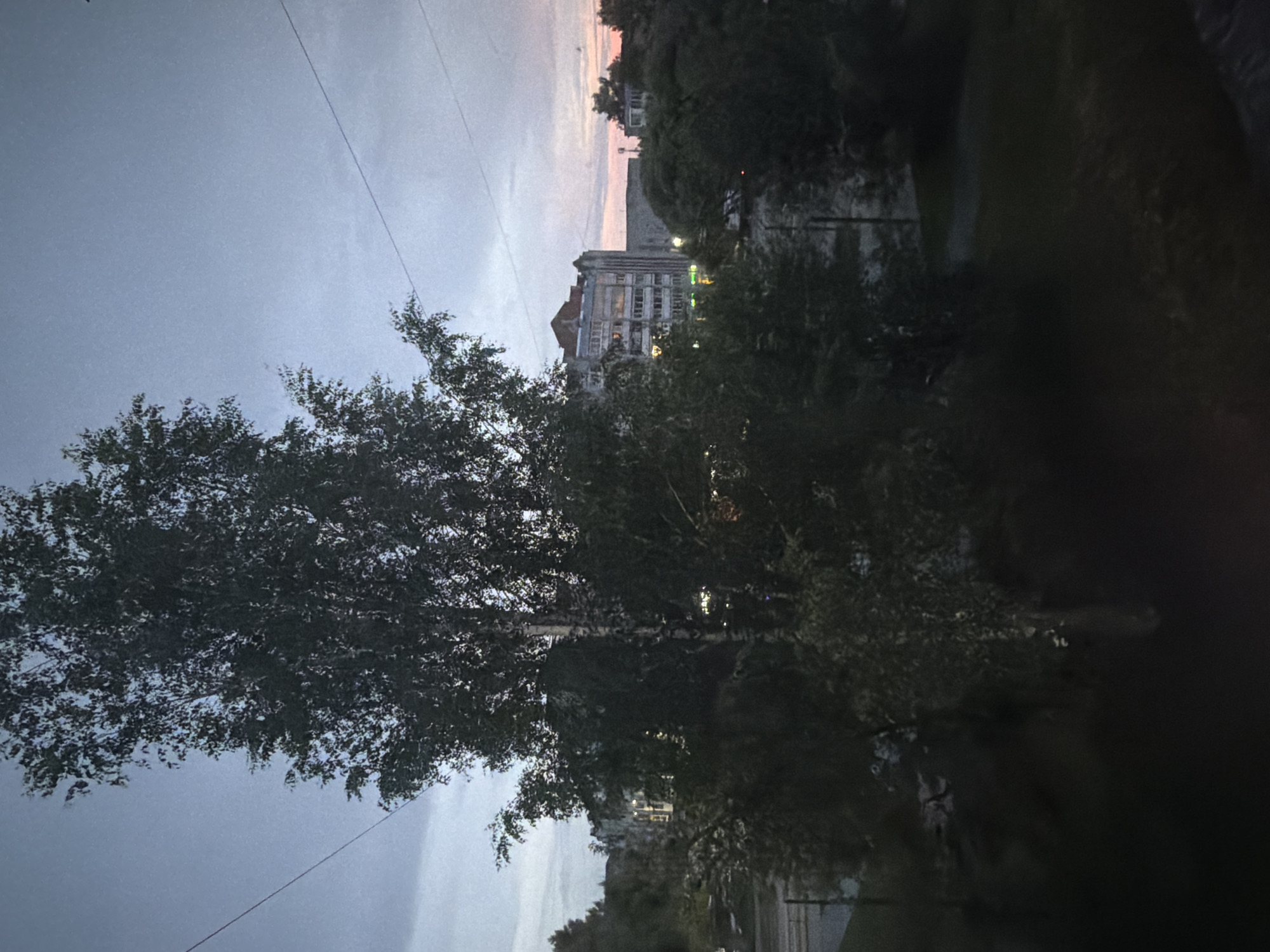 The image depicts an outdoor scene at dusk in Solikamsk, Russia, as suggested by the presence of multi-story apartment buildings and trees commonly found in urban environments. A tall, leafy tree dominates the foreground, partially obscuring the view of the background. Beyond the tree, several apartment buildings with illuminated windows are visible. The sky is overcast with a subtle gradient of colors, indicating the transition from day to night. Power lines are strung across the sky. The overall atmosphere is quiet and subdued, typical of a residential area during twilight hours.