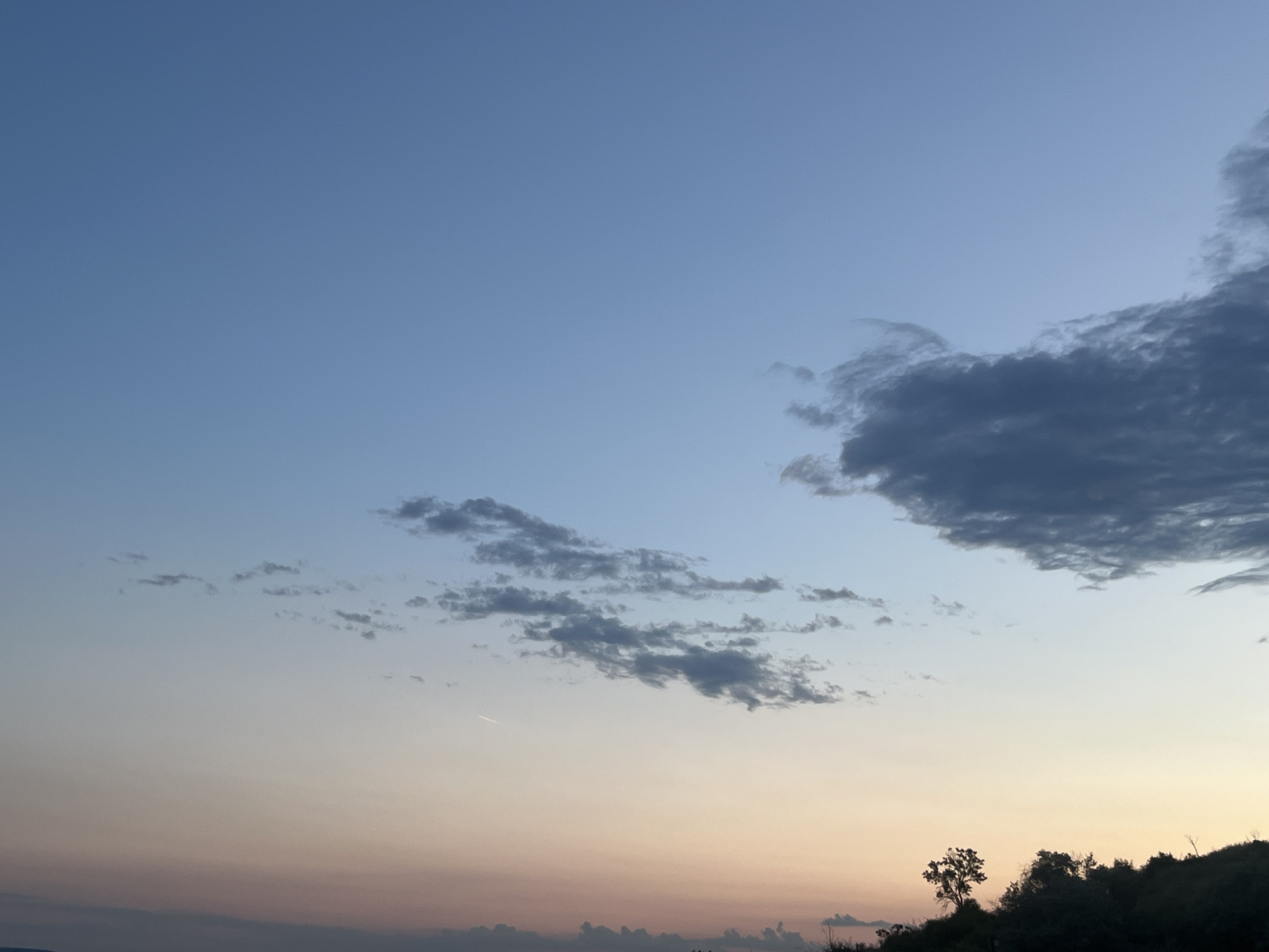 The scene presents a twilight sky over Varna, Bulgaria. The upper portion of the sky is a clear, deep blue, which gradually transitions to a lighter blue, then to a gradient of pale orange and pink hues towards the lower horizon. A significant mass of dark grey clouds is present in the upper right quadrant. Smaller, scattered dark grey cloud formations are distributed across the mid-left sky. A single, faint, white aircraft contrail is visible as a thin horizontal line in the mid-left portion of the sky. The lower right foreground consists of a dark, silhouetted hillside or elevated landmass covered with dense foliage, including a distinctly shaped tree with a rounded canopy standing prominently against the lighter sky. A faint, dark horizontal line suggesting a distant horizon or landmass is visible on the far left. No human subjects, animals, or explicit actions are discernible.