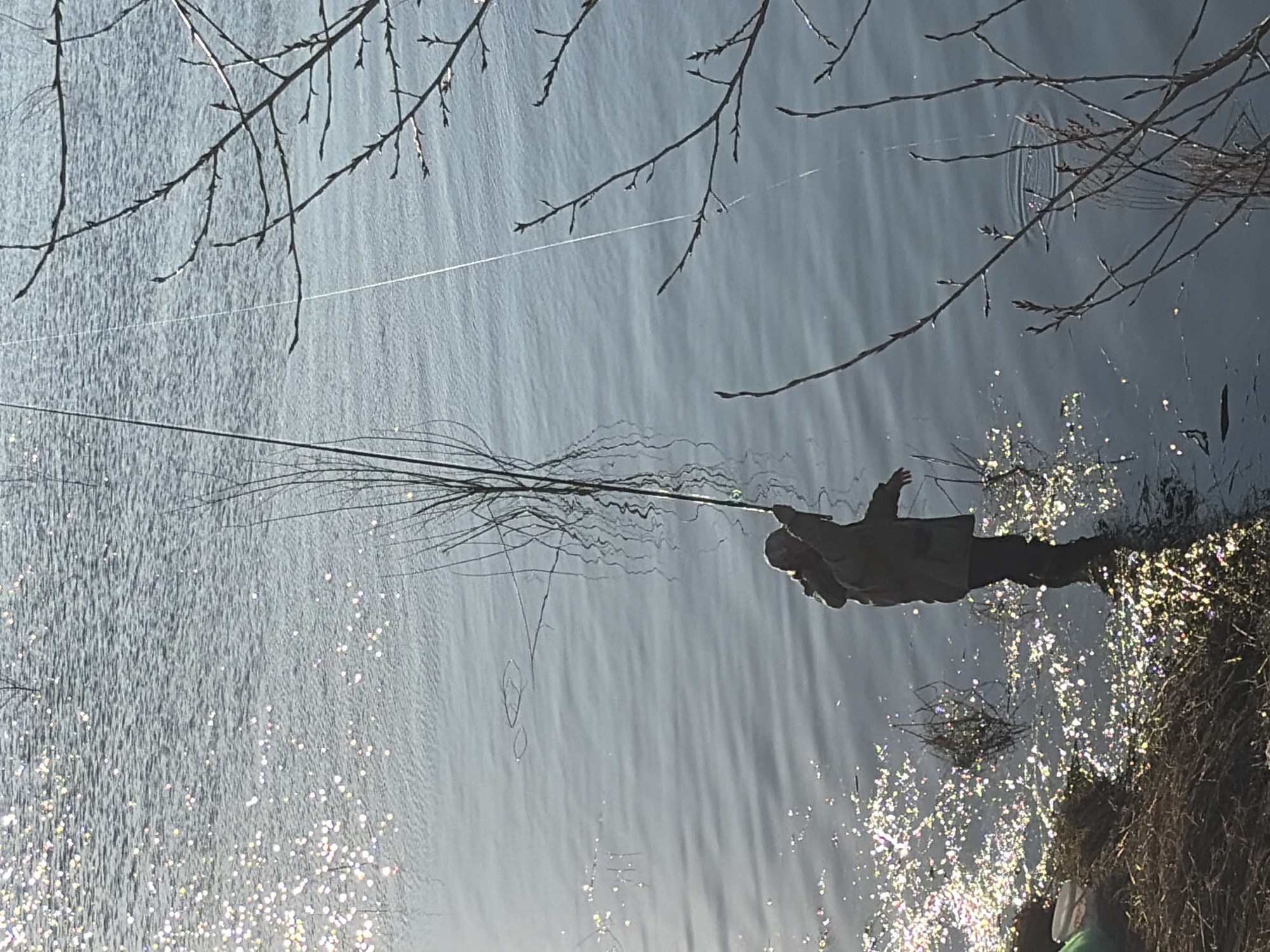 A person stands knee-deep in water, possibly a lake, holding a long, thin fishing rod. The water's surface glistens with sunlight. Bare tree branches frame the top of the image. The location appears to be Chaikovsky, Russia.
