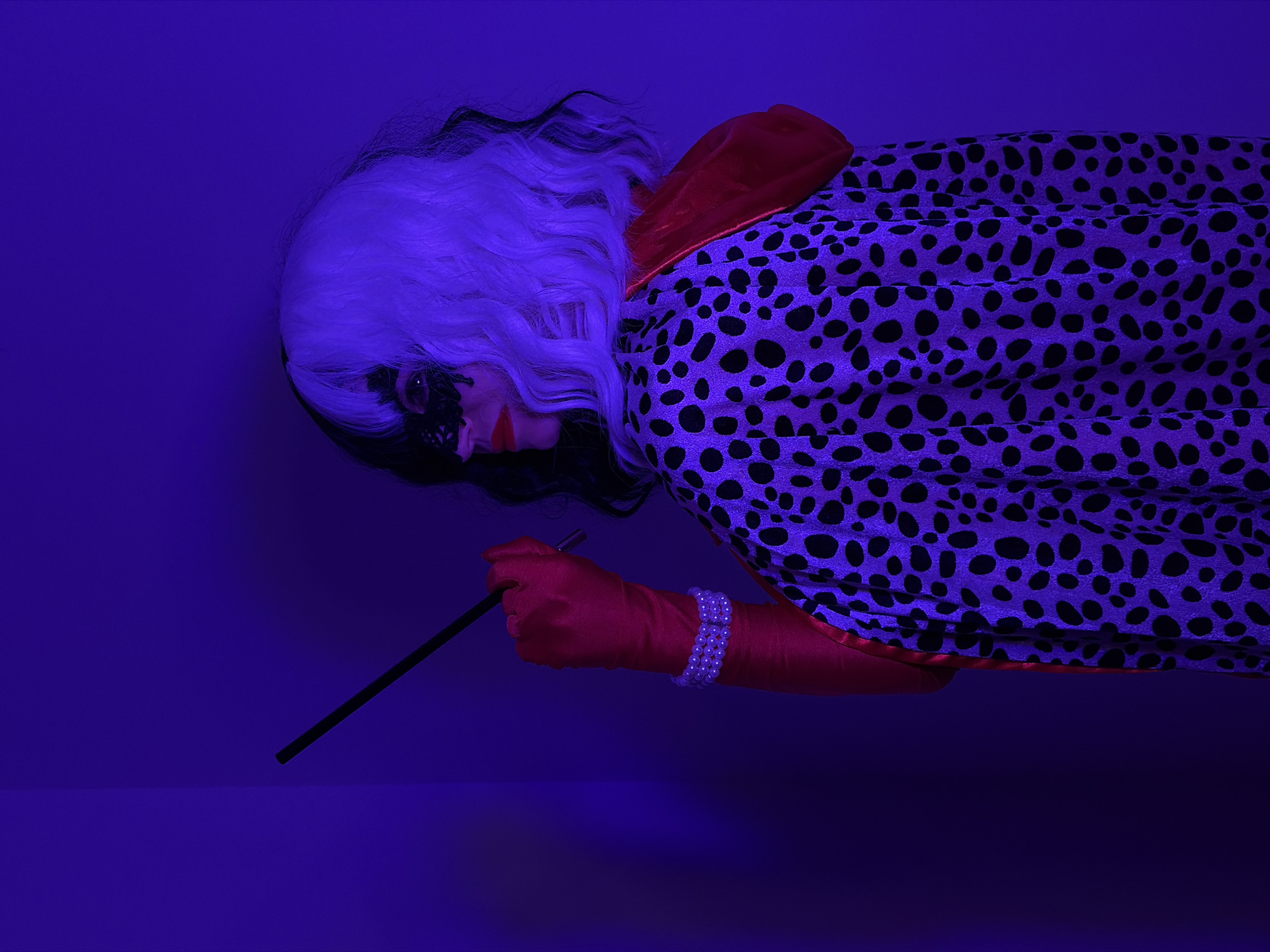 A person in a Cruella de Vil costume is seen in a studio setting under blue lighting. The person has white and black hair, wears a black eye mask and red lipstick, and is dressed in a dalmatian-print coat with a red lining. They have red gloves and a pearl bracelet on their right hand, holding a black cigarette holder. The background is a plain blue studio wall and floor. The location is not in Budva, Montenegro but rather a studio setting.