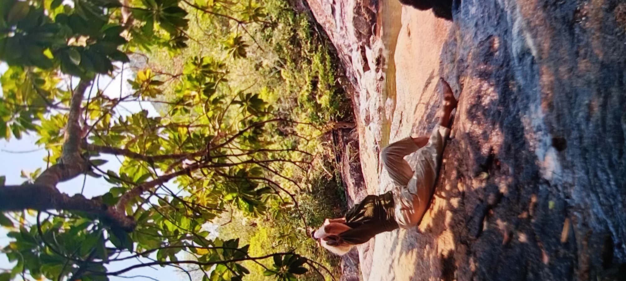 A person is lying on a rock, appearing to be near a waterfall in a natural environment in Baan Chaloklum, Thailand. The person is wearing light-colored pants, a dark-colored shirt, and appears to be holding their head with their hands. The area around the person is comprised of rocks and water. A green foliage and a tree with visible branches is in the foreground. Other vegetation and foliage is in the background. The lighting suggests it is daytime.