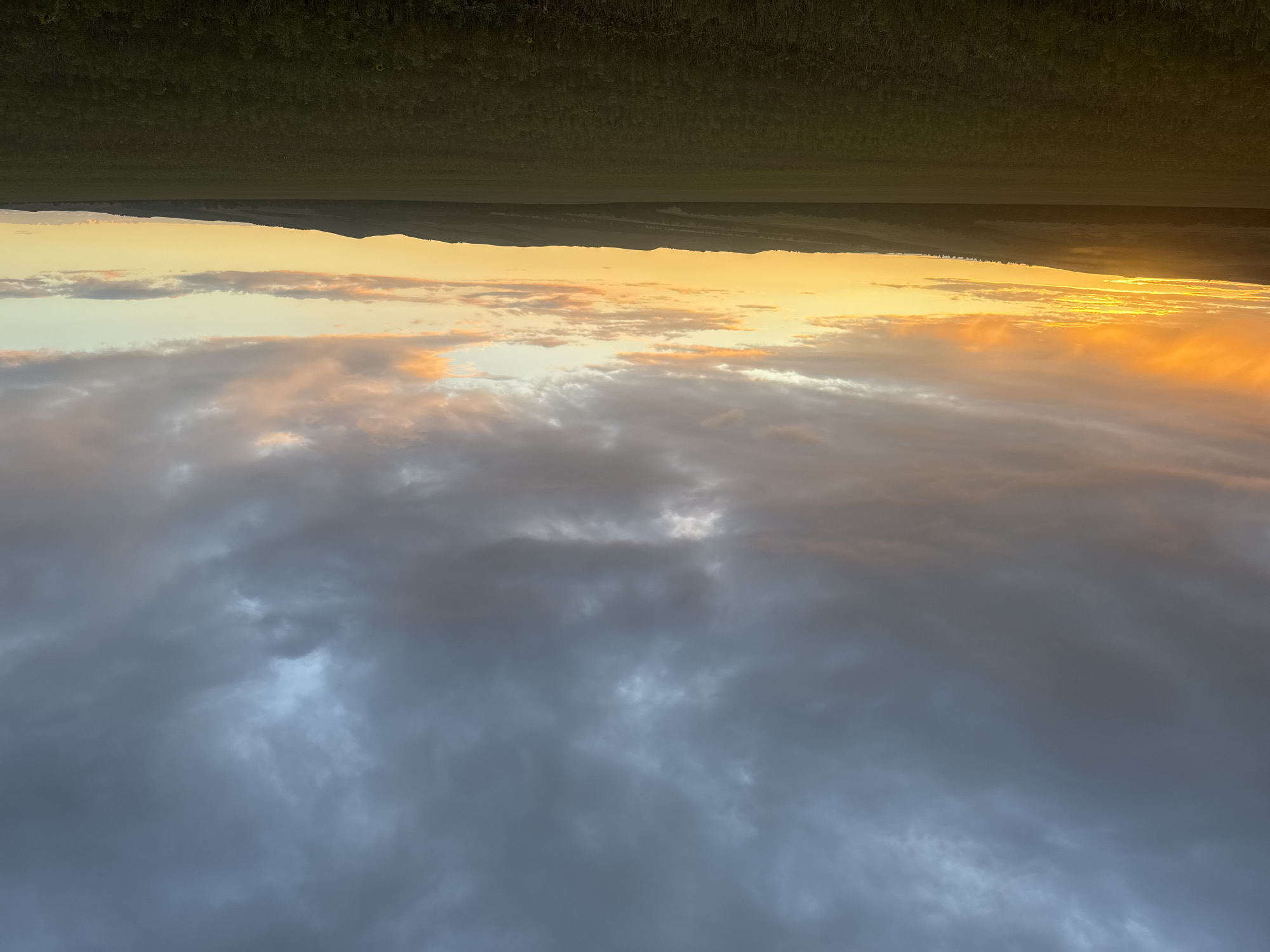 The image shows a rural landscape at sunset. A vast, dark green field stretches across the foreground. In the middle ground, rolling hills are visible, dotted with trees. The background is dominated by a dramatic sky filled with clouds. The sun is setting on the left side of the frame, casting a bright orange and yellow glow through gaps in the clouds, while the rest of the sky is a mix of grey, blue, and soft pink hues. There are no people or man-made structures immediately apparent in the scene. The location is identified as Vasil'evka, Russia.