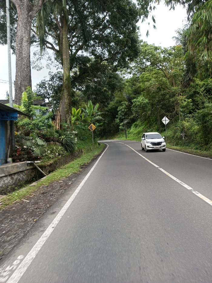 The image displays a two-lane asphalt road curving to the right through a densely vegetated environment in Serpang Shalli, Bhutan. The sky is overcast. A white passenger vehicle, consistent with a minivan or small SUV, is observed approaching from the distant curve, positioned in the right lane.
On the left side of the road, a narrow dirt shoulder transitions to a concrete drainage ditch. Behind the ditch, a low stone wall supports a bank of dense green foliage, including banana plants. Two large trees with prominent, textured trunks rise from this area, partially obscuring a blue-sided structure with a light-colored roof. A yellow diamond-shaped road sign with black symbols, indicating falling rocks, is situated on the left before the curve.
The right side of the road features a steep embankment covered in lush, dark green trees and undergrowth. A white square-shaped sign with a black border and a diagonal line, typically indicating a no-passing zone, is visible on the right further along the curve. No individuals are present in the scene.