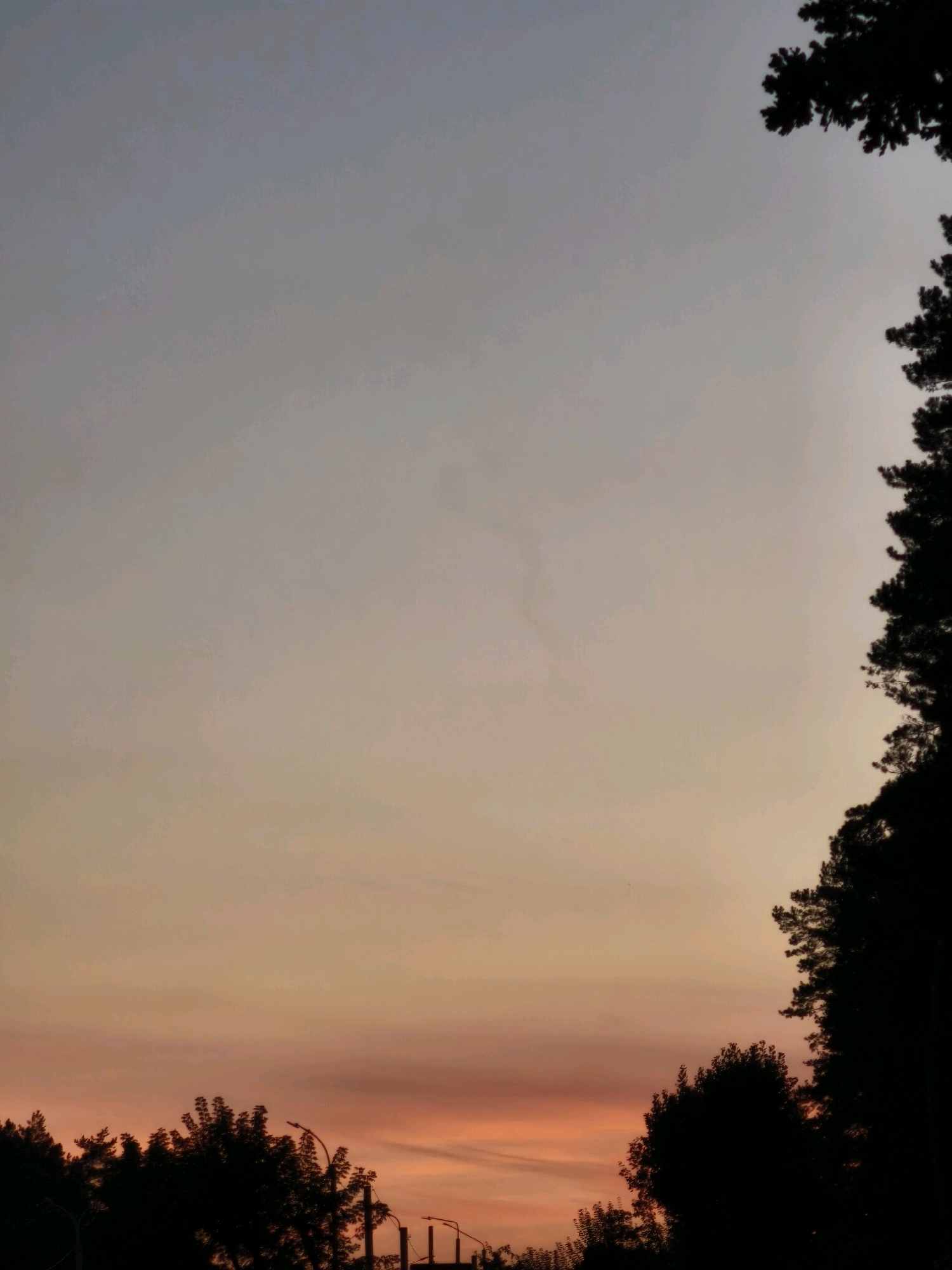 The image depicts a silhouetted view of trees and streetlights against a twilight sky. The sky transitions from a pale blue at the top to hues of orange and pink near the horizon, suggesting either sunrise or sunset. The dark silhouettes of evergreen trees frame the right side and the bottom of the image, with some appearing to be on the left as well. Streetlights are visible amongst the trees at the bottom, indicating an urban or suburban environment. The overall impression is one of a quiet evening or early morning in Mahilyow, Belarus.