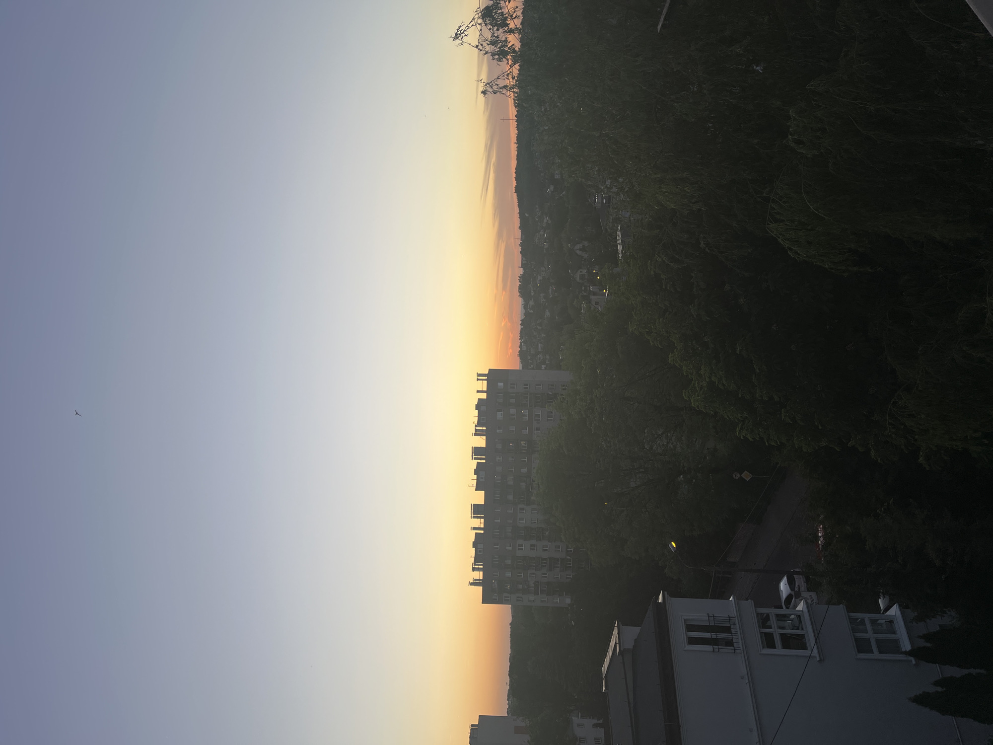 View from an elevated position facing a city at sunset, with a tall apartment building in the center, trees on the right, and other buildings visible in the foreground. A bird is visible in the sky on the left.