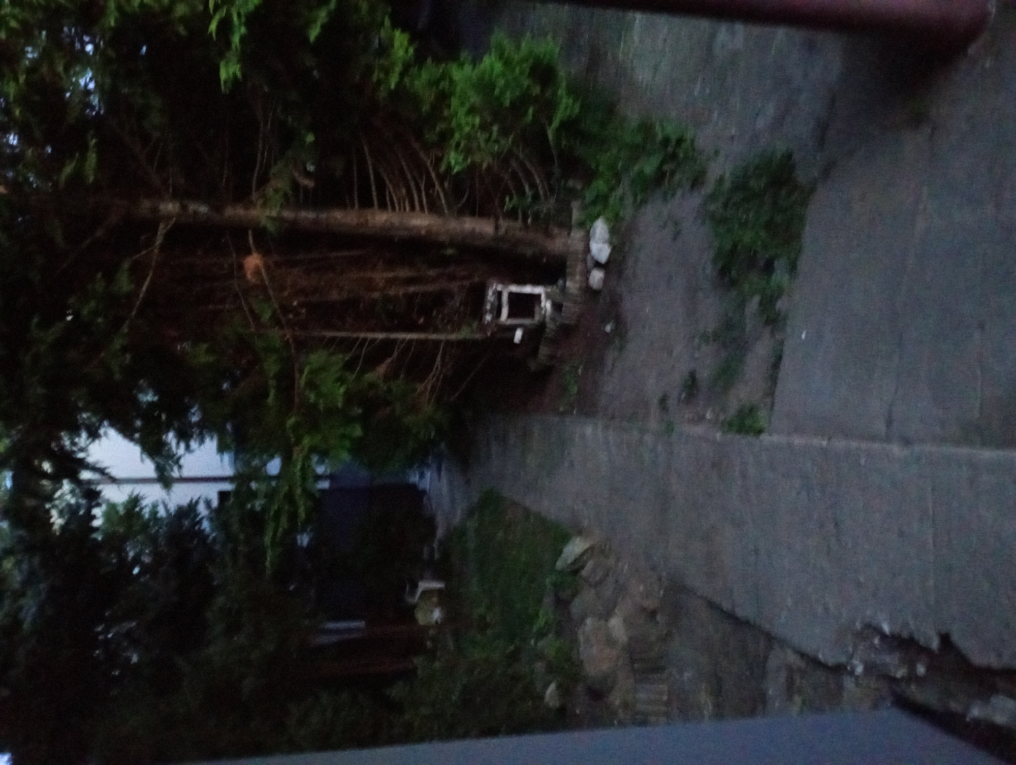 The image depicts a dimly lit outdoor scene with a concrete pathway leading through a heavily wooded area. The pathway appears to be made of large, rectangular concrete slabs and is bordered by vegetation and rocks on one side, and a dense line of trees on the other. In the background, through the trees, a building with a white vertical element is visible. There is a small, square wooden structure with an open center positioned among the trees to the right of the pathway. The overall lighting suggests it is either dusk or a very overcast day. The scene is devoid of any human presence or activity. Based on the available visual information, it is not possible to determine the specific location within Białystok, Poland.