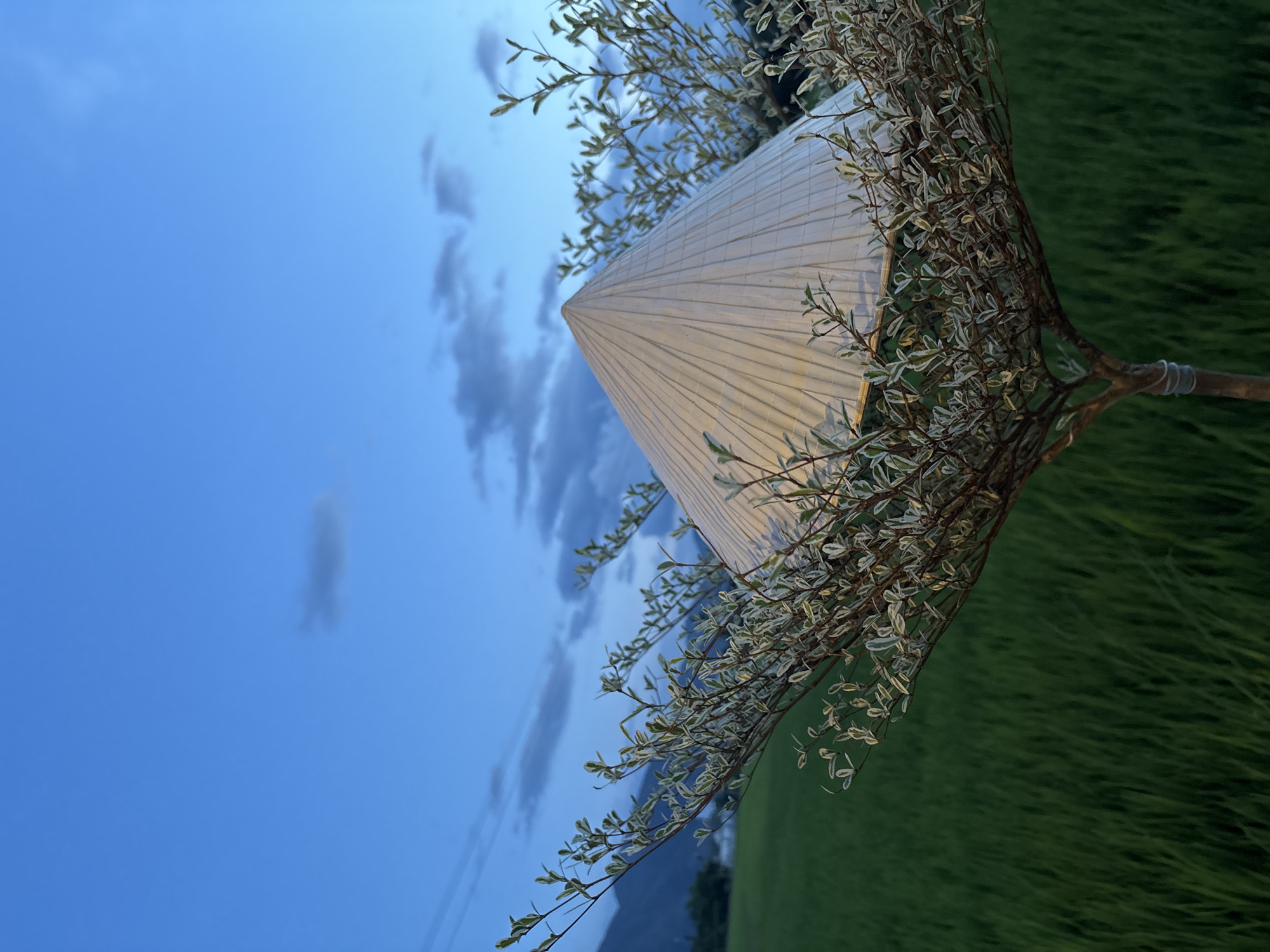 The image is an off-kilter composition of a conical structure, likely a gazebo or similar architectural feature, framed by branches of a tree with variegated leaves. The structure is made of light-colored, possibly translucent, corrugated material. The sky in the background is a gradient of blue, indicating twilight or dusk. The green area to the right suggests a lawn or field. In the distance, there is a hint of a mountain or hill. The location is possibly near Diên Khánh, Vietnam, as specified in the prompt. There are no people visible in the image.