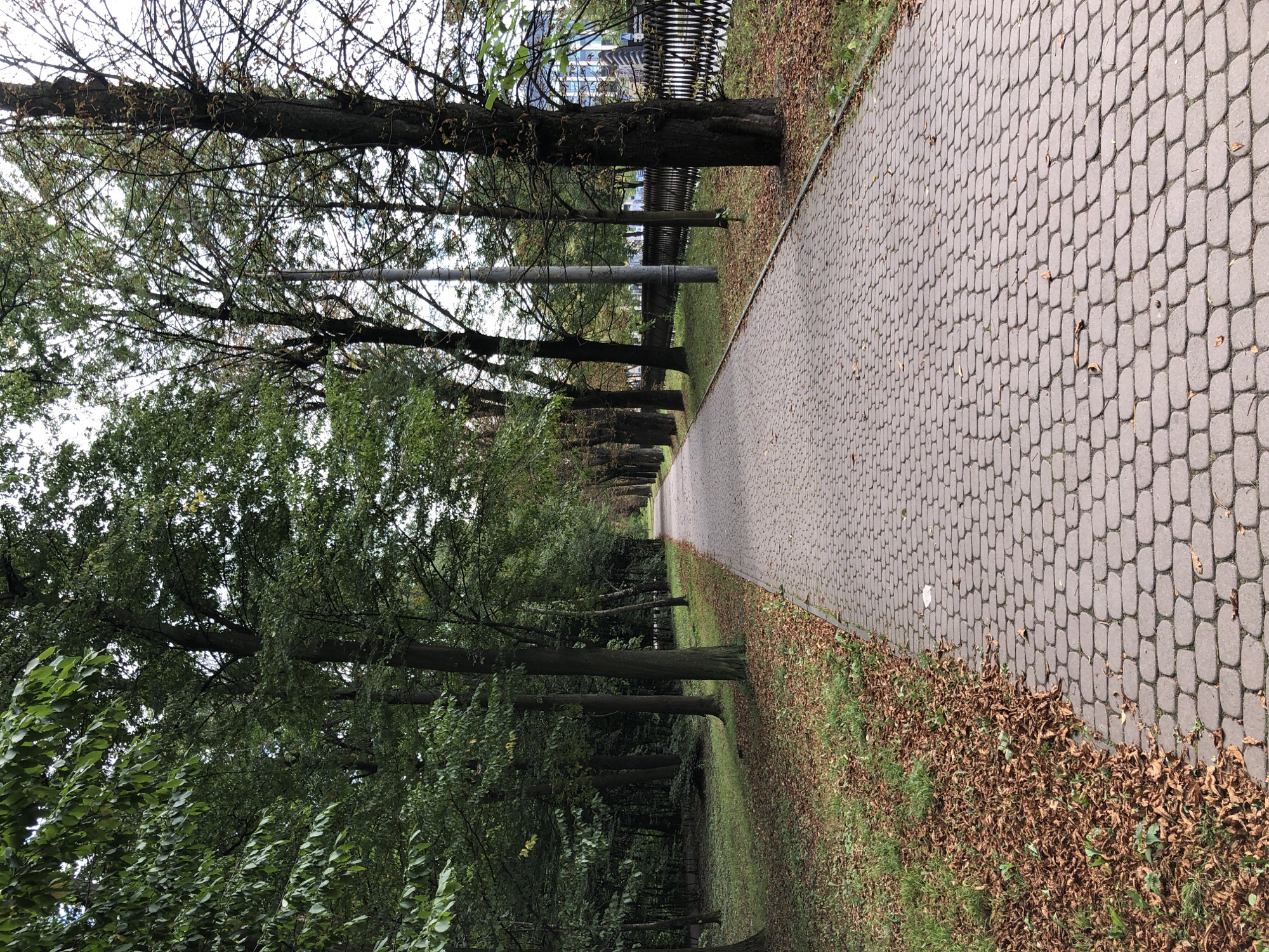 The image shows a paved walkway through a park or tree-lined avenue in Lviv, Ukraine. The walkway is made of interlocking, reddish-brown pavers and is bordered on the left by a grassy area with fallen brown leaves and several trees. On the right side of the walkway, there is a line of trees and a dark, ornate metal fence. Beyond the fence, a modern building with a glass facade is visible. The trees appear to be deciduous, with some leaves showing autumn colors. The sky is overcast and the overall lighting suggests it is daytime, possibly autumn. There are no people visible in the image. The scene depicts a public outdoor space, likely a park or a boulevard within the city.