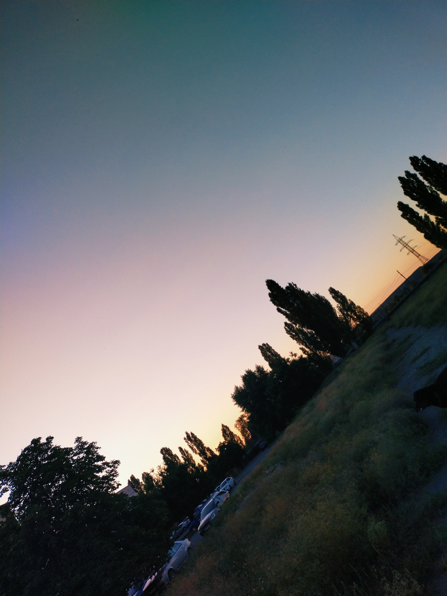 The image depicts a tilted outdoor scene, likely in the city of Horishni Plavni, Ukraine, during twilight. The sky transitions from a deep teal at the top to soft hues of pink and orange near the horizon, suggesting either sunrise or sunset. A line of trees runs diagonally across the frame, silhouetted against the fading light. In the middle ground, a row of parked cars is visible along a road or parking lot. Beyond the trees, a transmission tower stands against the horizon. The foreground is dominated by a grassy slope, with patches of dry vegetation. The overall impression is a quiet, perhaps rural or semi-urban, landscape at dusk, with the power lines indicating proximity to infrastructure. There are no visible people or animals in the frame.