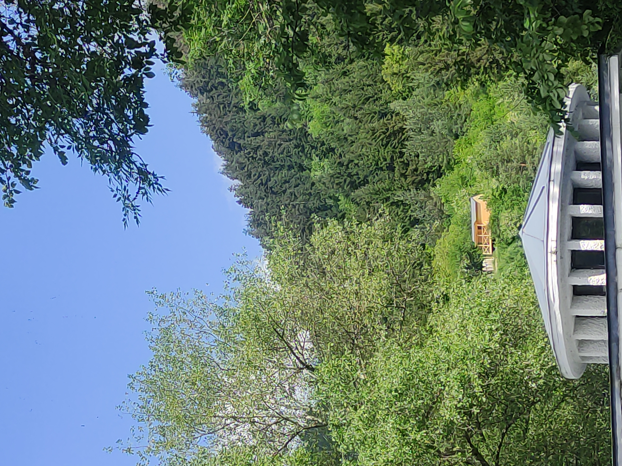 The image depicts a serene view of a hillside covered in lush green trees, with a clear blue sky overhead. In the foreground, the roof of a white, circular structure with a grey roof is visible. Further up the hillside, a small, light-colored wooden house with a porch is nestled among the trees. The overall scene suggests a tranquil, natural environment, likely a park or a residential area on the outskirts of a city. The architectural style of the circular building in the foreground and the presence of the small house suggest a location in Borjomi, Georgia, a city known for its resort-like atmosphere and natural beauty.