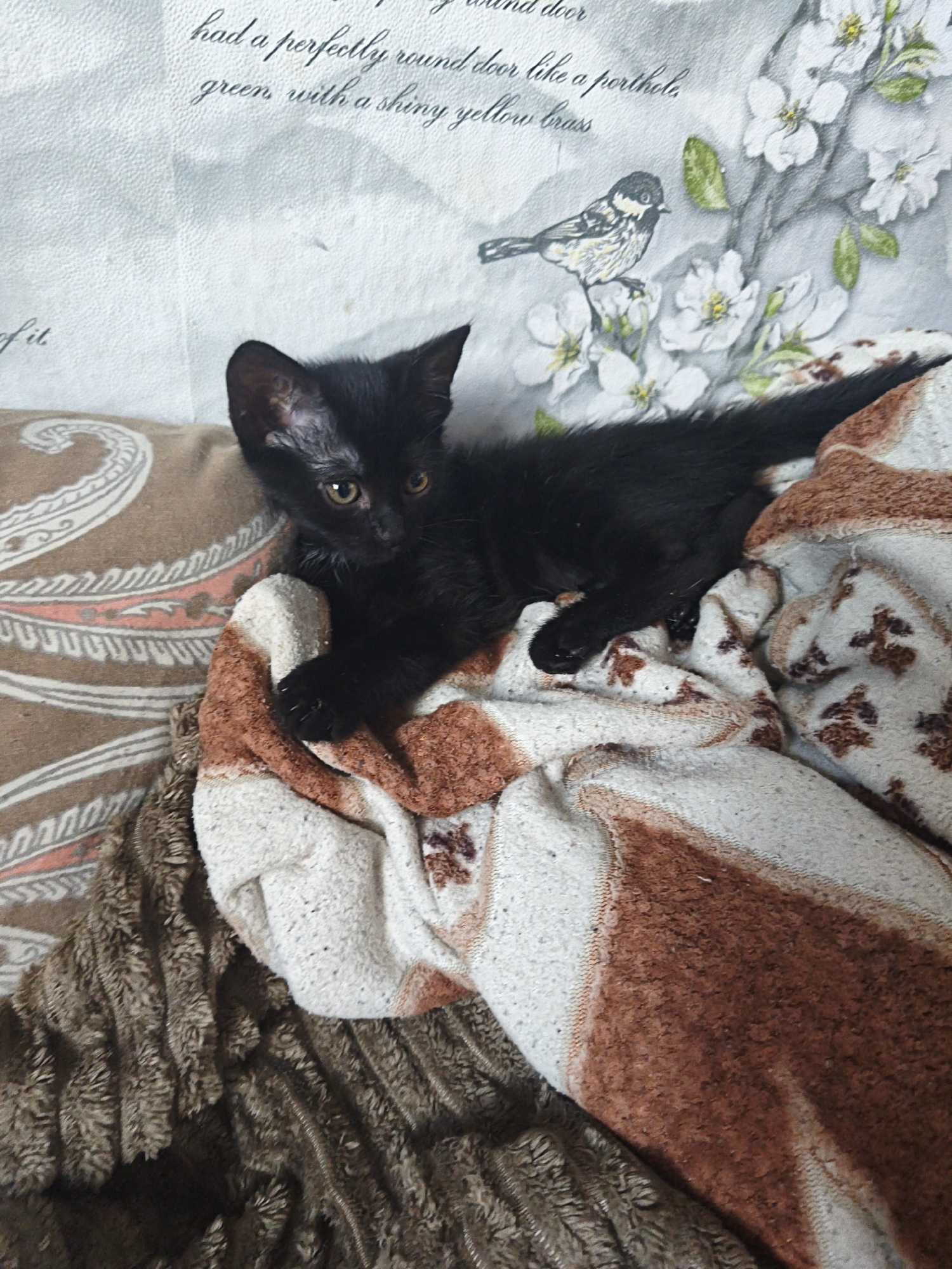 A black kitten with yellow eyes is lying on a patterned blanket. The kitten is positioned on the right side of the frame, partially obscured by the blanket. The blanket has a cream-colored base with brown and burnt orange abstract patterns. Behind the kitten and blanket, a tapestry or wallpaper with a faint floral and text design is visible. A small bird perched on branches with white blossoms is depicted on the tapestry to the left of the kitten. A brown, textured fabric is layered beneath the patterned blanket on the left side of the image. The scene appears to be indoors, on a flat surface.