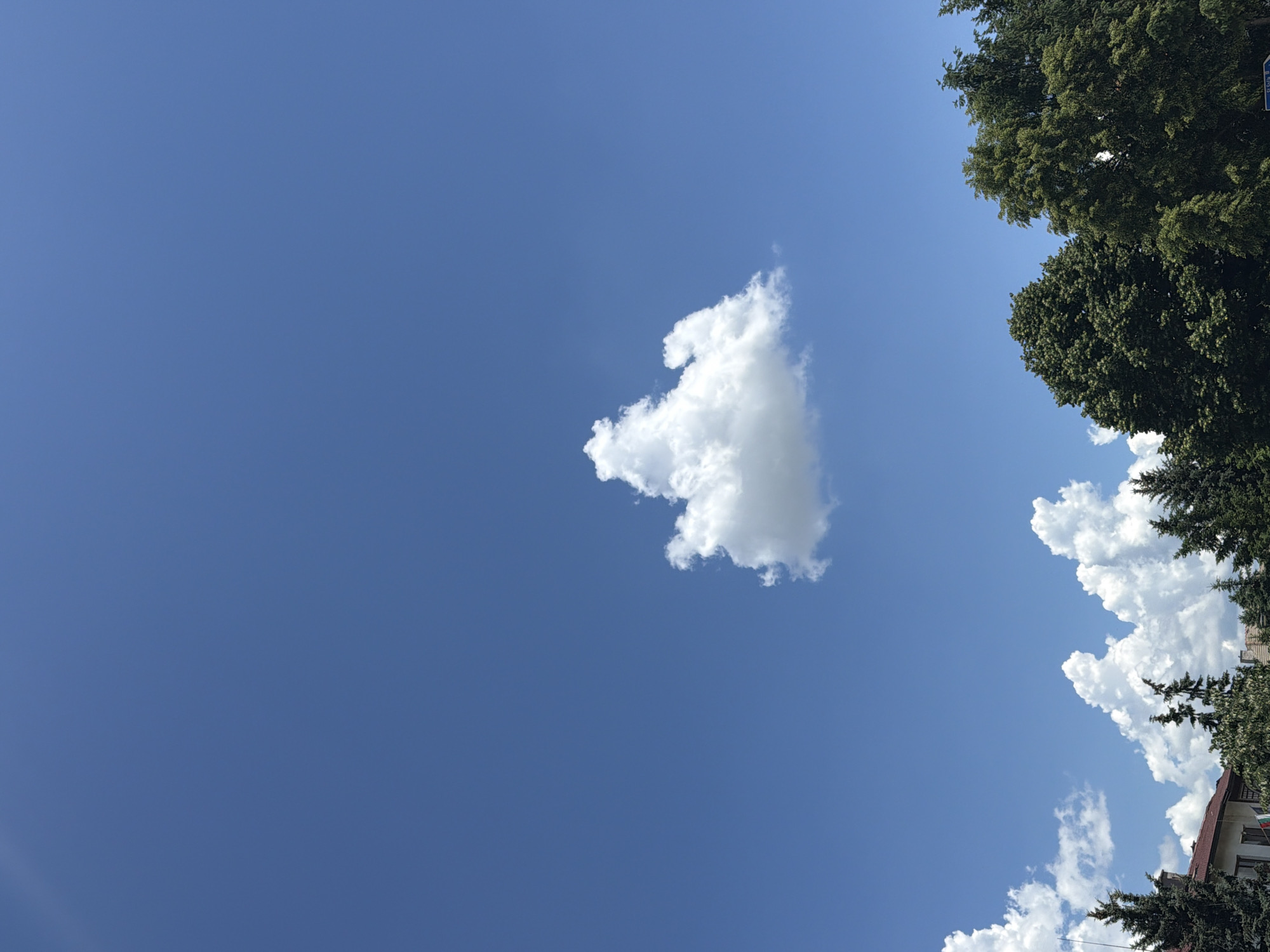 The image captures a bright, clear sky with a few scattered white clouds above a line of lush green trees. In the lower left corner, a building with a red-tiled roof and a section of white wall is partially visible, suggesting a residential or urban setting. The trees form a dense canopy, obscuring much of the ground. The sky is a vibrant blue, indicating good weather. There are no people or animals visible in the frame. The overall impression is one of a peaceful, sunny day in the Bulgarian town of Ravno pole.