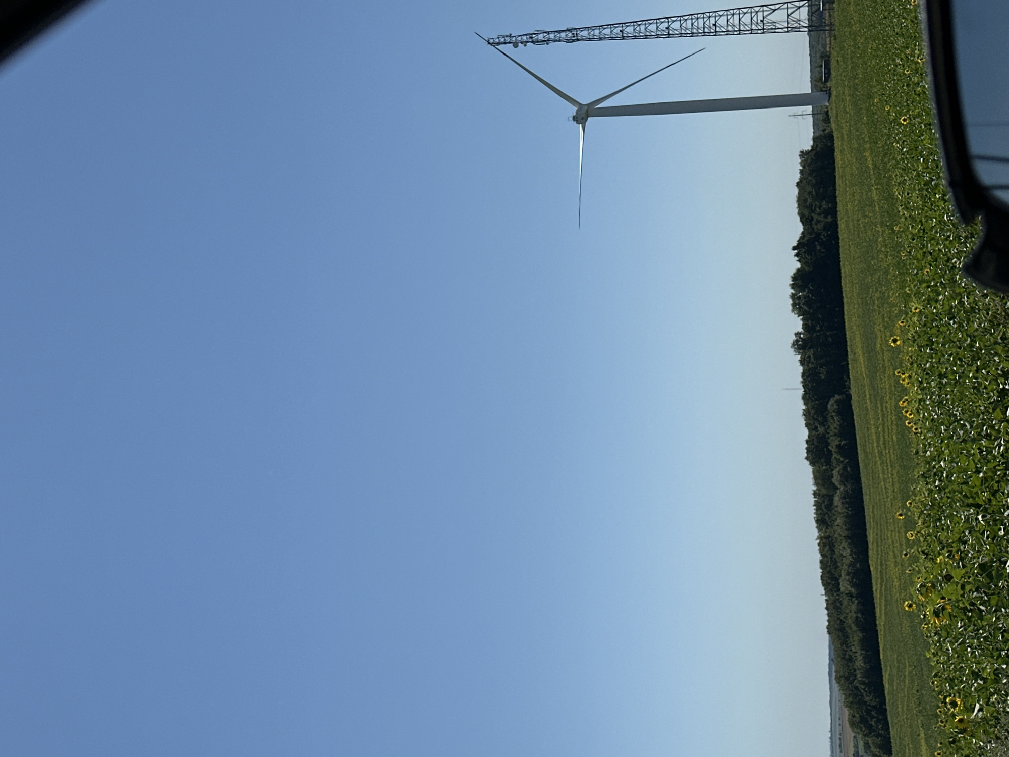 In a rural scene, likely in or near the village of Korchivka, Ukraine, a wind turbine stands tall against a clear blue sky. The turbine's blades are angled, suggesting it is either stationary or in slow rotation. Adjacent to the turbine is a lattice telecommunications tower, its structure detailed with multiple platforms and antennas. The foreground features a vibrant field of sunflowers, their bright yellow petals contrasting with the lush green foliage. Beyond the sunflower field, a line of dense green trees forms a natural border, with rolling hills and a distant horizon visible under the expansive sky. The image appears to be taken from a vehicle, as evidenced by the edge of a dark car mirror visible in the bottom right corner of the frame.
