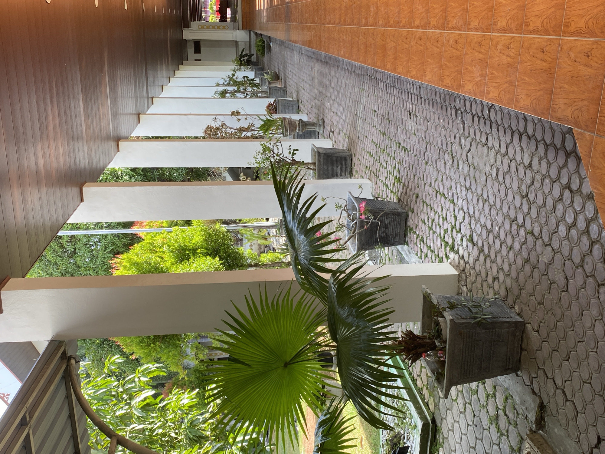 The image shows a covered walkway with a row of white columns supporting a wooden ceiling. On the left side of the walkway, there are several potted plants, including a large fan-like palm and smaller leafy plants. The walkway is paved with hexagonal interlocking bricks, and to the right, there is a section of orange tiled flooring. In the background, lush green trees and foliage are visible. The scene appears to be an outdoor corridor or veranda, possibly in a tropical or subtropical climate, given the vegetation.