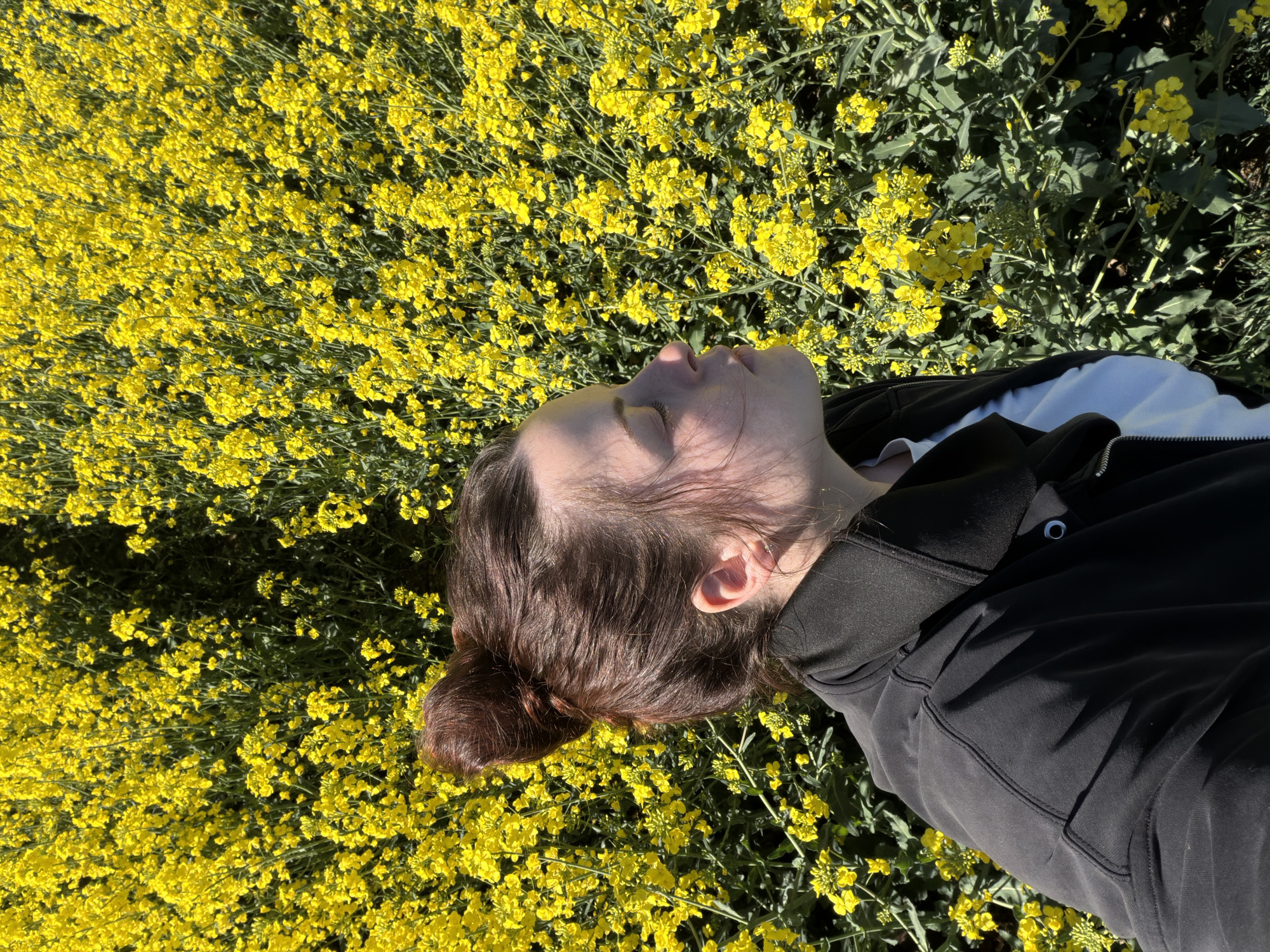 A high-angle shot captures a person lying down amidst a vibrant field of yellow flowers, likely rapeseed or canola, in Obermoschel, Germany. The person's head and upper torso are visible, positioned diagonally across the frame. They have brown hair pulled back into a bun and are wearing a black jacket or hoodie with a white inner lining. Their eyes are closed or looking upwards, with sunlight illuminating their face and casting soft shadows. The overall impression is one of peaceful rest or contemplation in nature. The field is densely packed with bright yellow blooms and green foliage, indicating a sunny day. The clear, bright light suggests it is daytime, possibly morning or late afternoon. No text is visible in the image.