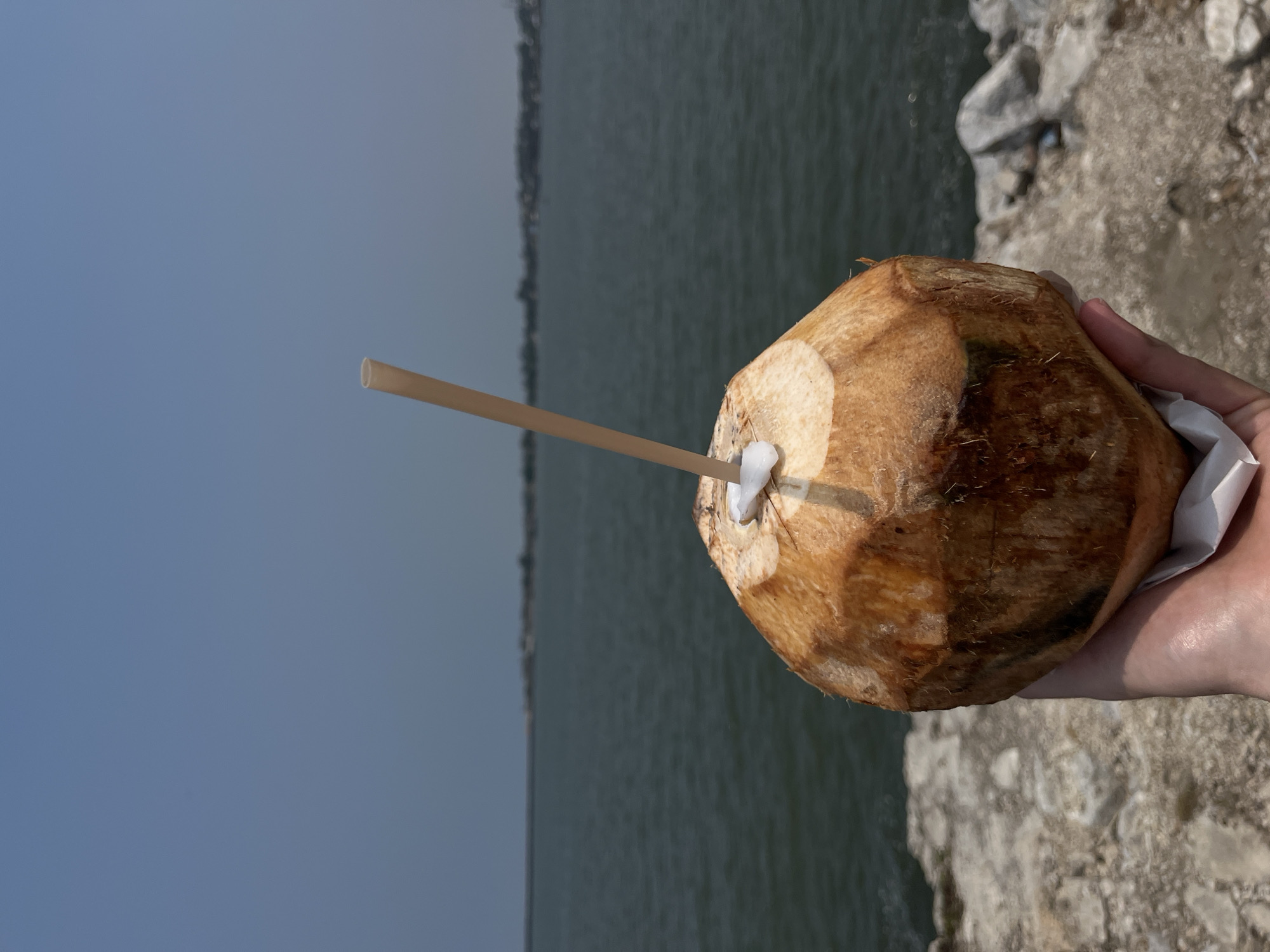 A person holds a coconut with a straw on a sunny day with a body of water and land visible in the background. The coconut is light brown, irregularly shaped, and has a straw inserted into it. The person's hand is visible, holding the coconut, which also has a white paper wrapper at the base. A body of water stretches horizontally across the middle of the frame. The water is a dark green-gray color. Beyond the water, a strip of land with vegetation is visible. The sky is a light blue-gray gradient at the top of the frame. To the right of the coconut is a gray, rocky surface. The location is Coatzacoalcos, Mexico.