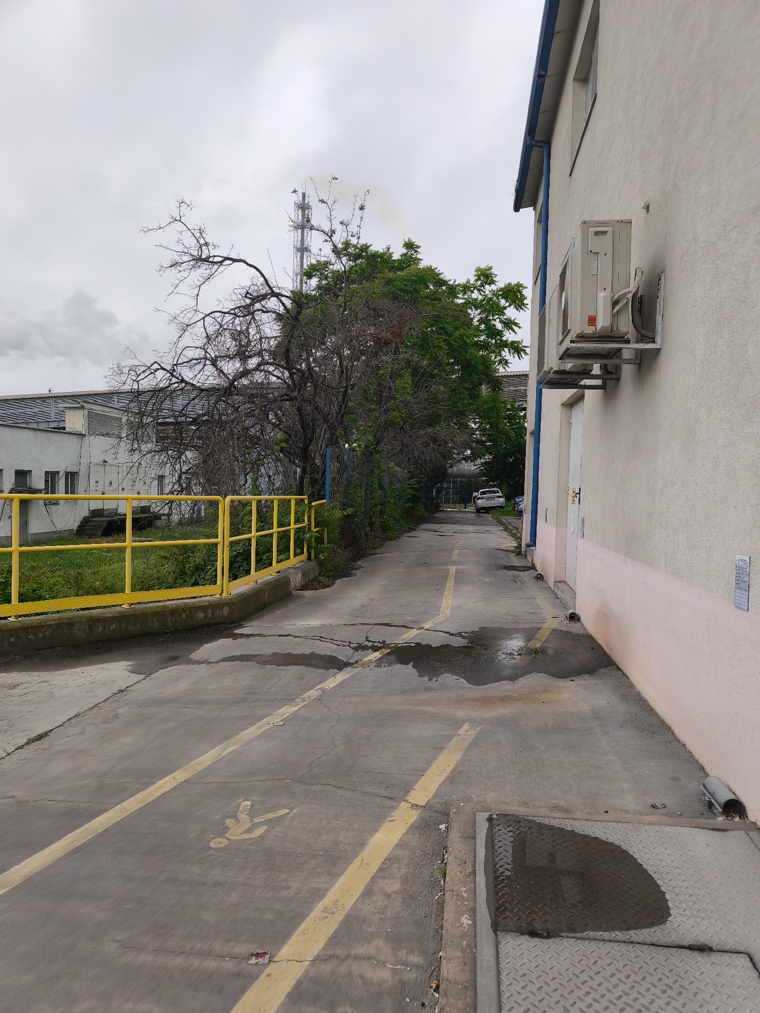 The image depicts a utilitarian outdoor pathway or service road, likely within an industrial or institutional complex, under an overcast sky. The concrete or asphalt path, marked with faded yellow lines, including a pedestrian icon, is wet with multiple puddles, suggesting recent rain.
On the left side, a yellow metal railing runs alongside the path, bordering a grassy area and partially obscuring a white, flat-roofed building. Behind the railing stands a large, bare, gnarled tree, contrasting with greener foliage behind it. Further back, a tall, slender industrial tower or chimney is visible against the grey sky, emitting a faint plume of smoke or steam.
On the right side of the path, a light-colored building features a prominent outdoor air conditioning unit mounted on its wall. A white door is also seen on this building, which has a blue gutter running along its roofline and a pinkish section along its lower wall. A white rectangular sign is affixed to this wall, but its text is unreadable. Further down the path, a white car is parked. The overall impression is one of a functional, somewhat unadorned environment.