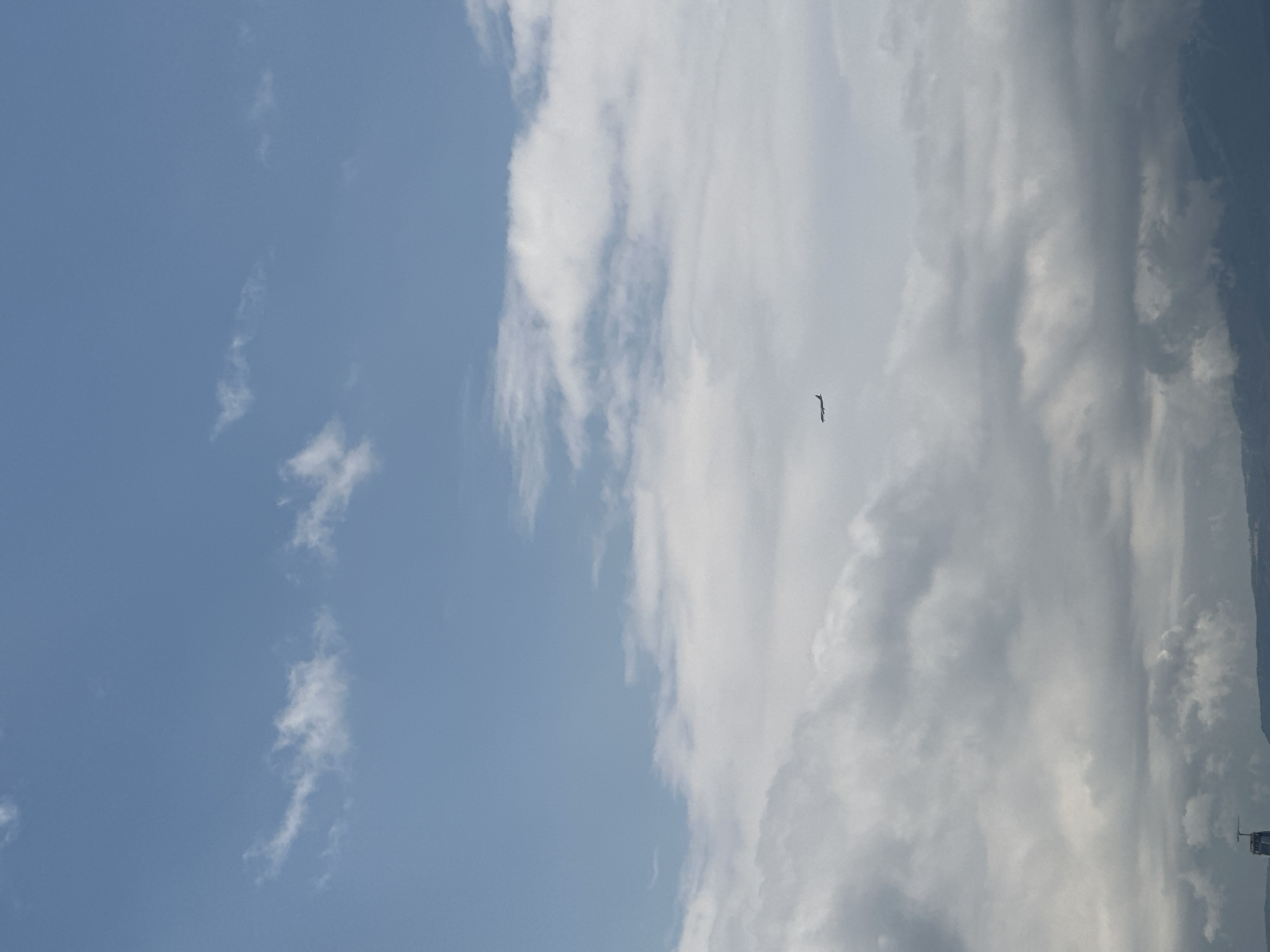 The image shows a sky with blue and white clouds. A bird is flying in the center of the frame. In the lower right corner, part of a mechanical structure is visible. It is not possible to determine the specific location in Sofia, Bulgaria.