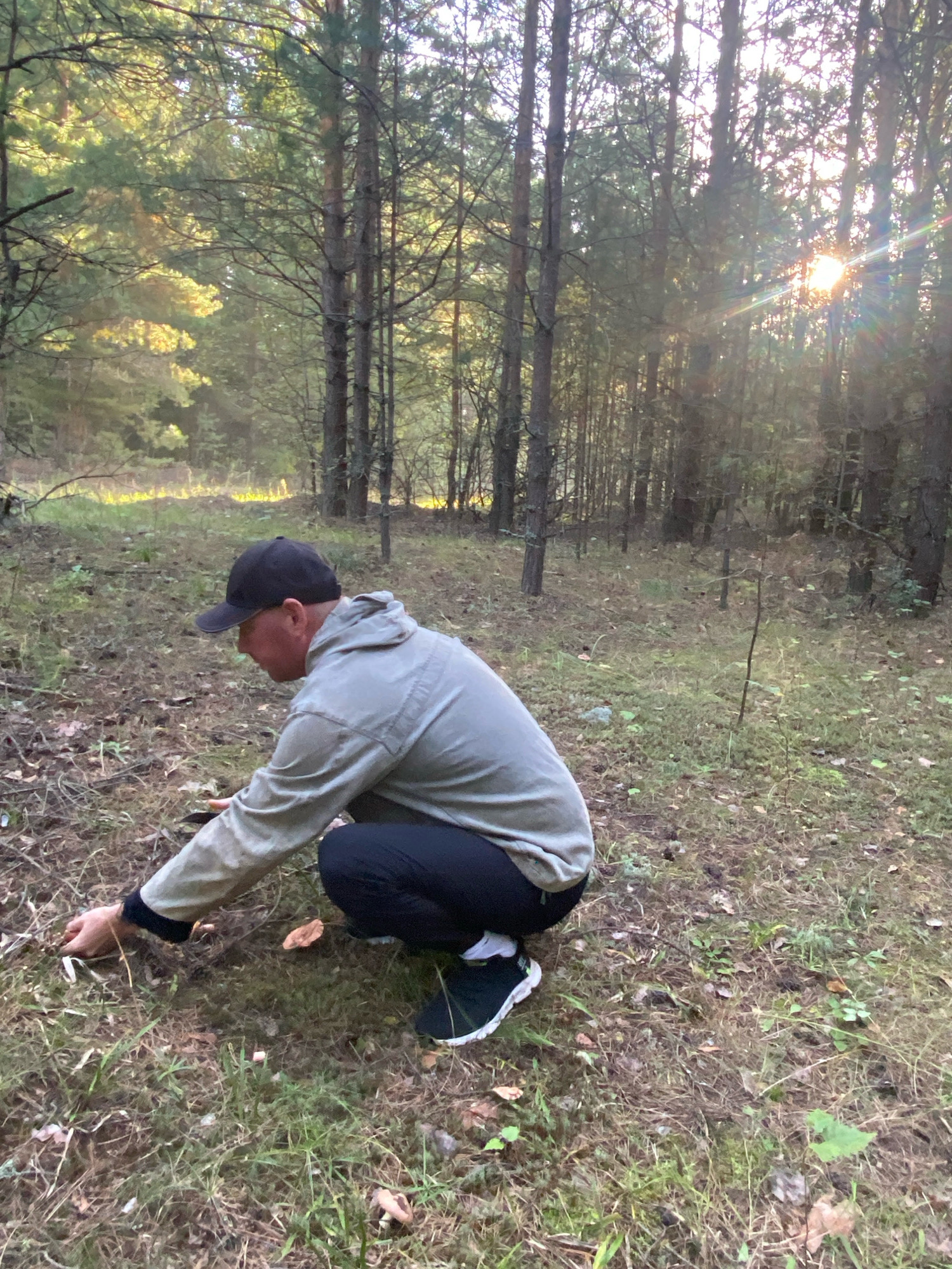 In a sun-dappled forest, a man wearing a black baseball cap, a light gray hooded jacket, black pants, and black and green sneakers is crouched low, examining mushrooms on the forest floor. The setting appears to be the outskirts of Noviy, Russia, based on the type of conifer forest common in the region. The ground is covered with dry leaves, pine needles, and sparse green vegetation. Sunlight streams through the trees, casting long shadows and creating a warm, autumnal atmosphere. The man's action suggests he is foraging for mushrooms. The background consists of a dense stand of pine trees.