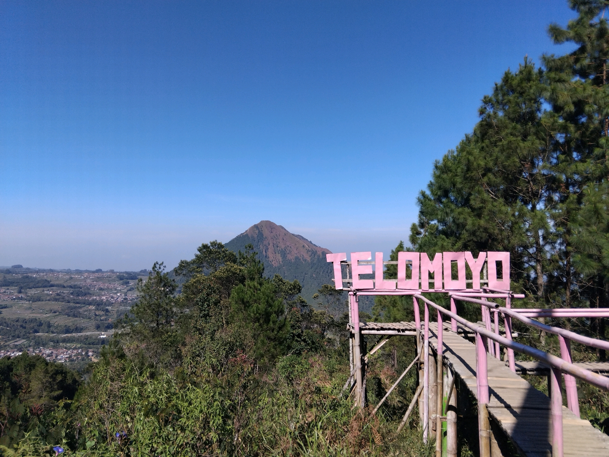 A viewpoint in Keditan, Indonesia, overlooks a valley filled with terraced fields and houses. In the foreground, a wooden walkway with pink railings leads to a pink sign that reads "TELOMOYO". The walkway is supported by bamboo structures. Pine trees with lush green needles frame the scene on the right and in the mid-ground. In the background, a conical mountain with a reddish-brown peak rises against a clear blue sky. The lighting suggests it is daytime with bright sunlight. There are no people visible in the image.