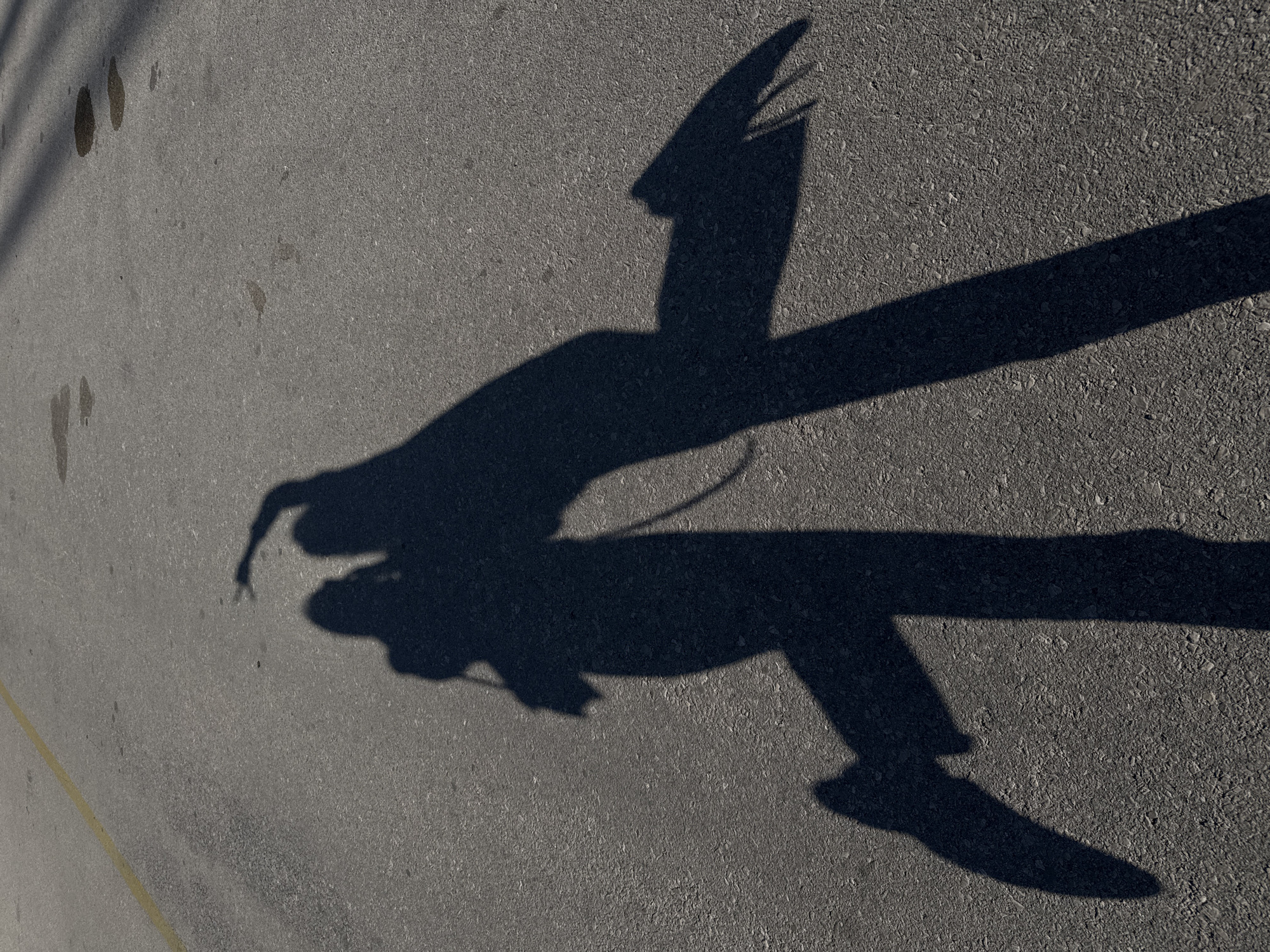 The image shows the shadow of a person wearing a helmet and roller skates, cast on a gray asphalt surface. The shadow indicates the person is standing or skating. The location is likely a paved area in Bar, Montenegro, though the exact setting within the city is not discernible. There are some marks on the asphalt, and a yellow line is visible in the lower-left corner of the image.