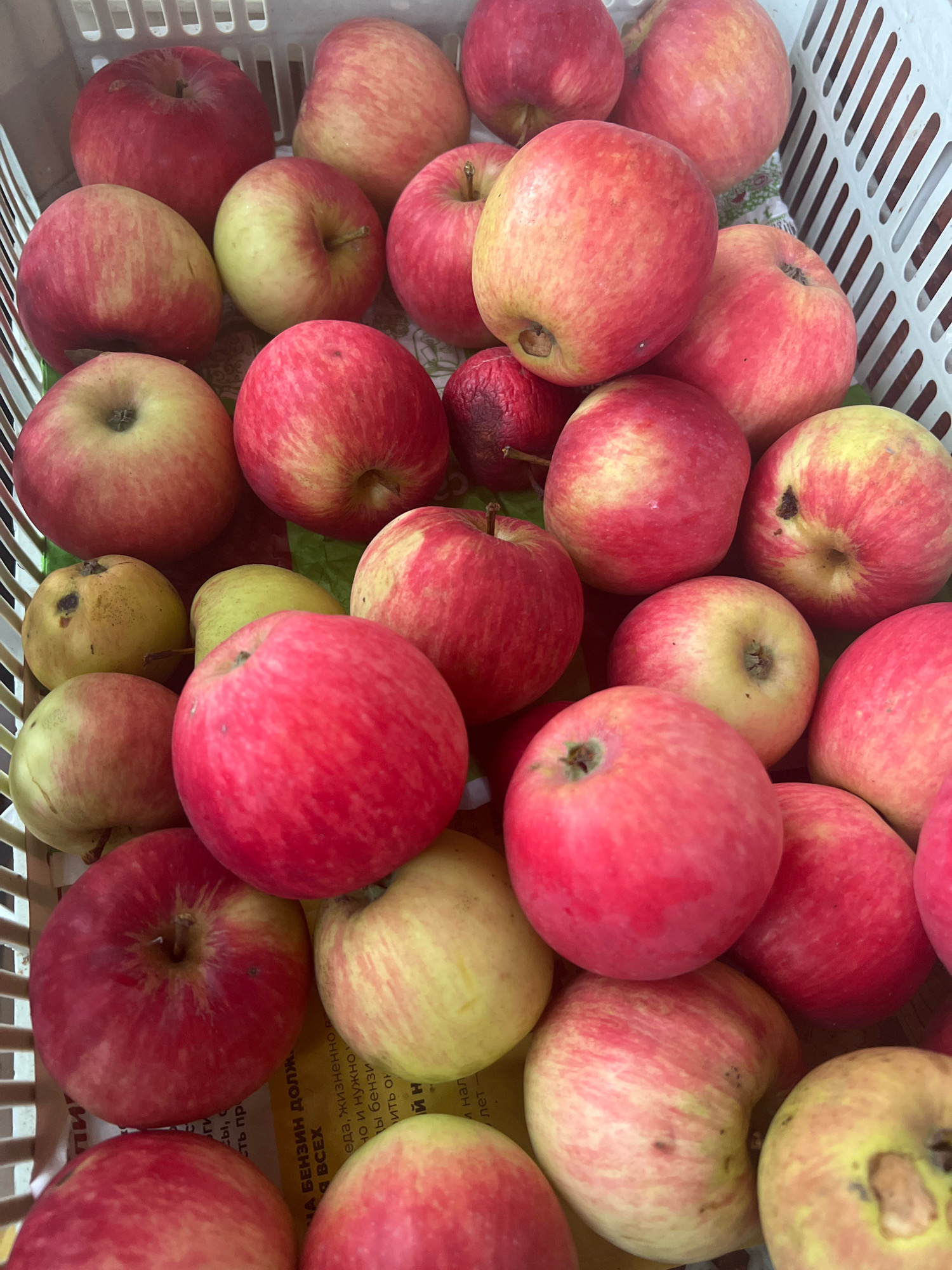 The image shows a close-up, high-angle view of a white plastic basket filled with a variety of apples. The apples are predominantly red and yellow, with some having streaks of both colors. There are also a few pears visible amongst the apples. The basket is white and appears to be made of a woven plastic material. The background is out of focus but seems to be a patterned surface, possibly paper or fabric. The lighting is natural, casting soft shadows. The image appears to be a still life, with no people or actions depicted. The specific location within the city of Unknown, Unknown cannot be determined from the visual information provided.
