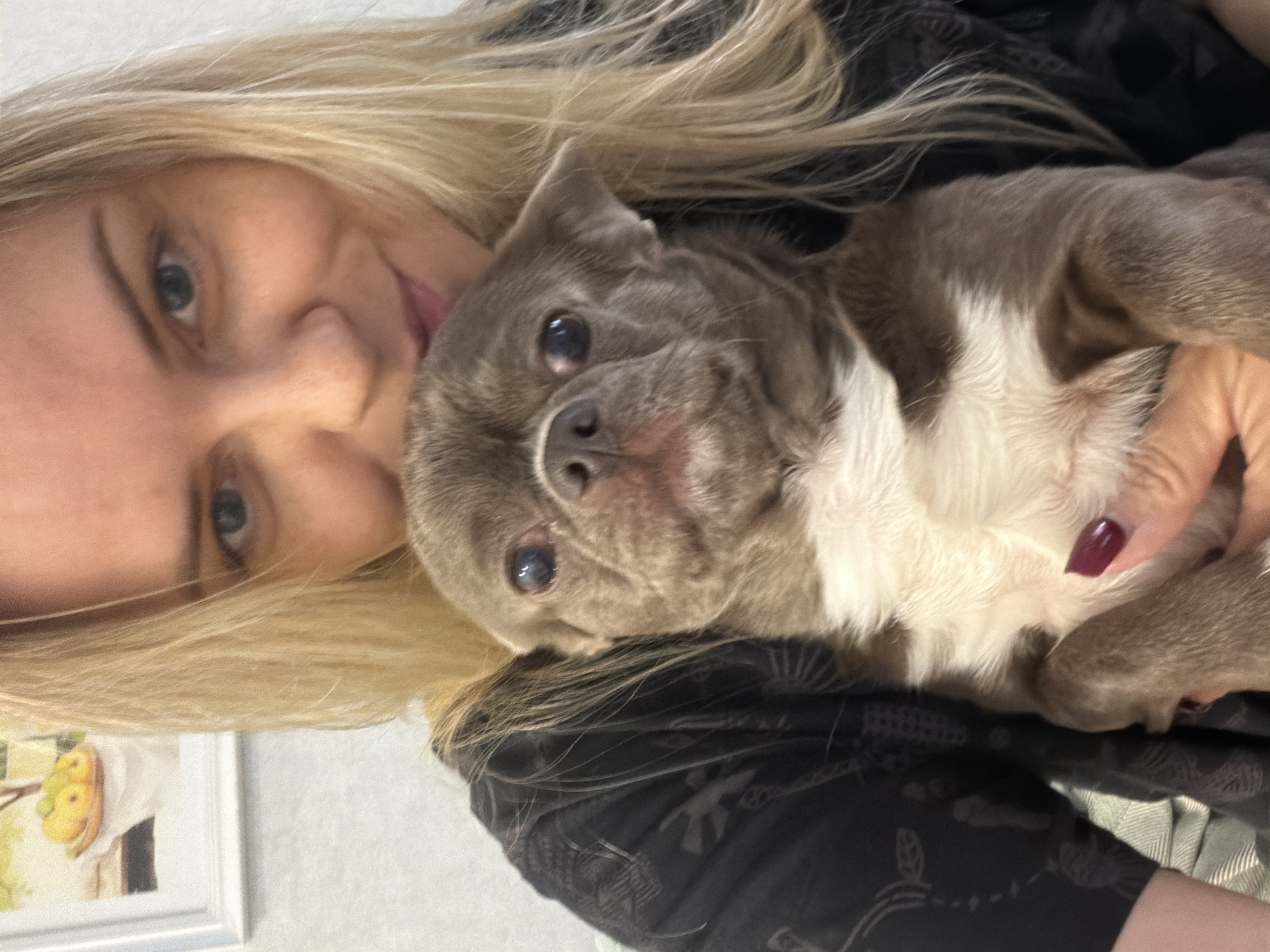 A woman with long, blonde hair holds a grey and white bulldog-type puppy. The woman is fair-skinned with blue eyes and is wearing a dark patterned top. She is smiling slightly. The puppy has a grey and white coat and is looking at the camera. The woman is holding the puppy with one hand, revealing a hand with a dark-red manicure. In the lower left corner of the image, a framed picture of fruit hangs on the wall. The environment appears to be indoors, potentially a home. The location in Votkinsk, Russia is undetermined.