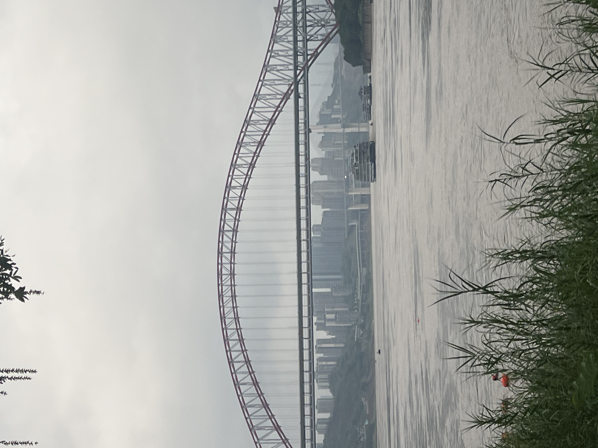 The image shows a wide river with a large bridge spanning across it. The bridge has a distinctive arched structure with red and silver accents, and below it, a second, more functional bridge is visible. On the far bank of the river, a dense cityscape of tall buildings is silhouetted against a cloudy sky, with hills rising behind them. Several boats are present on the water; a large multi-deck passenger boat is in the middle ground, and smaller vessels and buoys are scattered throughout the river. The foreground is dominated by tall green reeds and grasses, with a few red flowers visible amongst them. The overall atmosphere is overcast and somewhat hazy, suggesting a cool or humid day. The location is identified as Jiangbeicheng Street in China, which is consistent with the appearance of a major river port city with significant bridge infrastructure. There are no people clearly visible in the image.