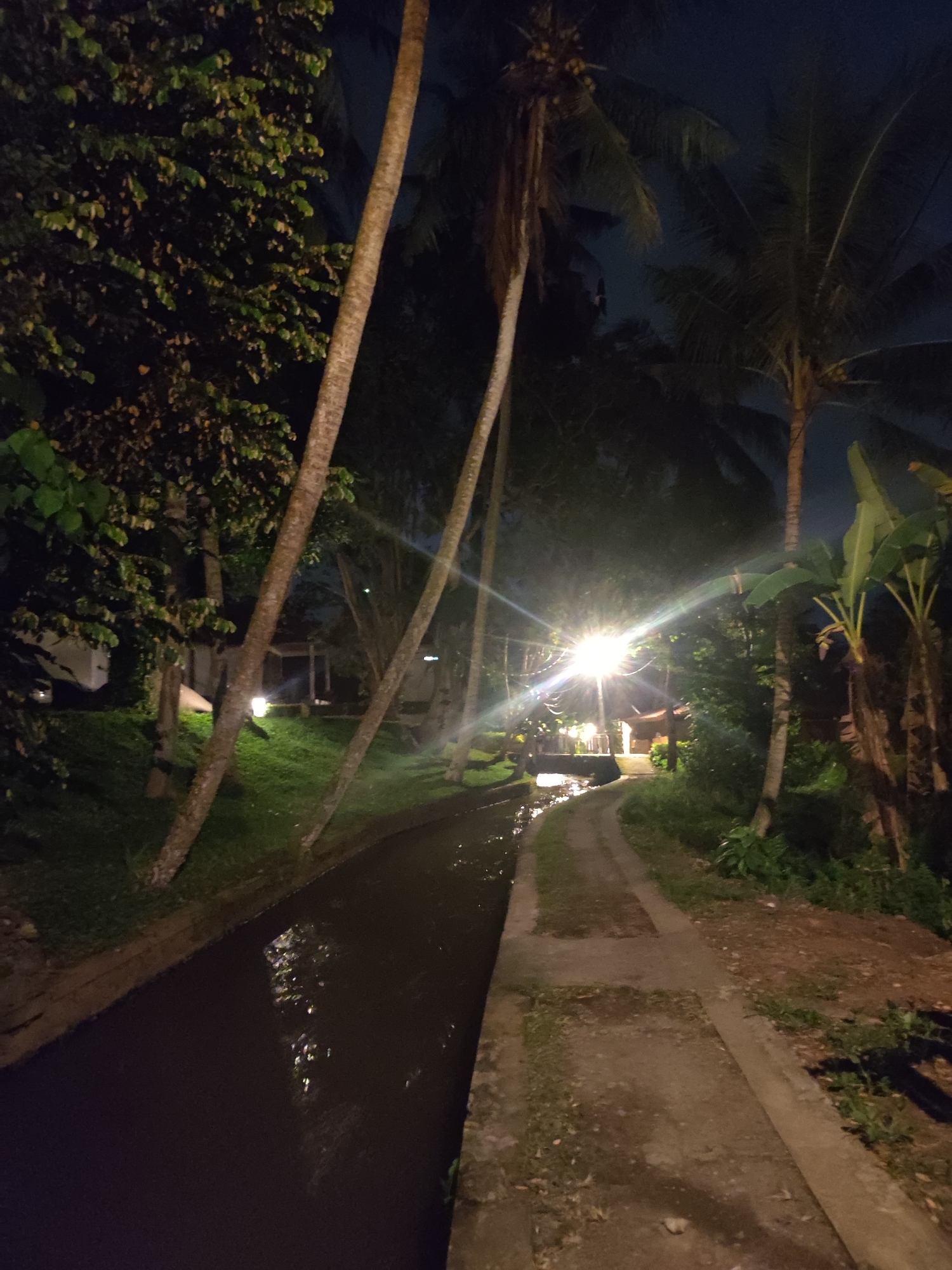 At Lokaserena, Indonesia, a nighttime view captures a narrow waterway bordered by lush tropical vegetation. The waterway is flanked on one side by a concrete walkway, leading toward a brightly illuminated structure with what appears to be a bridge. Palm trees and other greenery dominate the scene, casting shadows. The lighting suggests an artificial source, adding to the ambiance of the area. No people or interactions are readily visible.