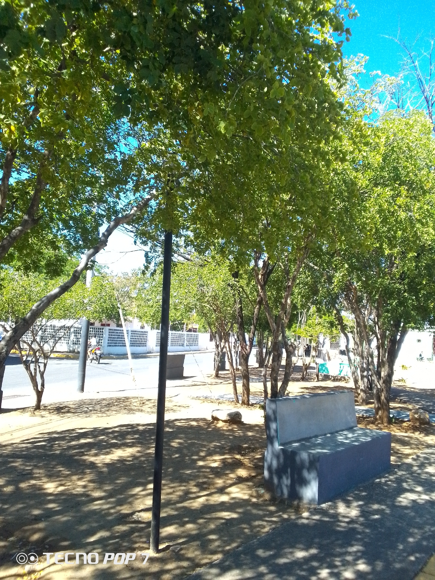 The image displays a public park or plaza in Altagracia, Venezuela, under a clear blue sky and direct sunlight. In the foreground, a two-toned grey concrete bench is positioned on the right side, partially illuminated by sunlight and casting a shadow. A dark, vertical metal pole stands centrally in the lower-midground. The ground is composed of light brown soil, heavily dappled with numerous irregular shadows from the overhead tree canopy.
The midground features numerous trees with green foliage and visible trunks. To the left of the park area, a paved road is visible. Adjacent to the road, a white building with a patterned white fence or facade and red accents is present. On the road, a single individual is observed operating a yellow motorcycle, traveling from left to right. Further within the park, additional light-colored benches are partially visible among the trees, with some appearing to be occupied by indistinct figures. In the distant left-center background, a large white architectural structure, possibly a church, is visible beyond the road and trees.