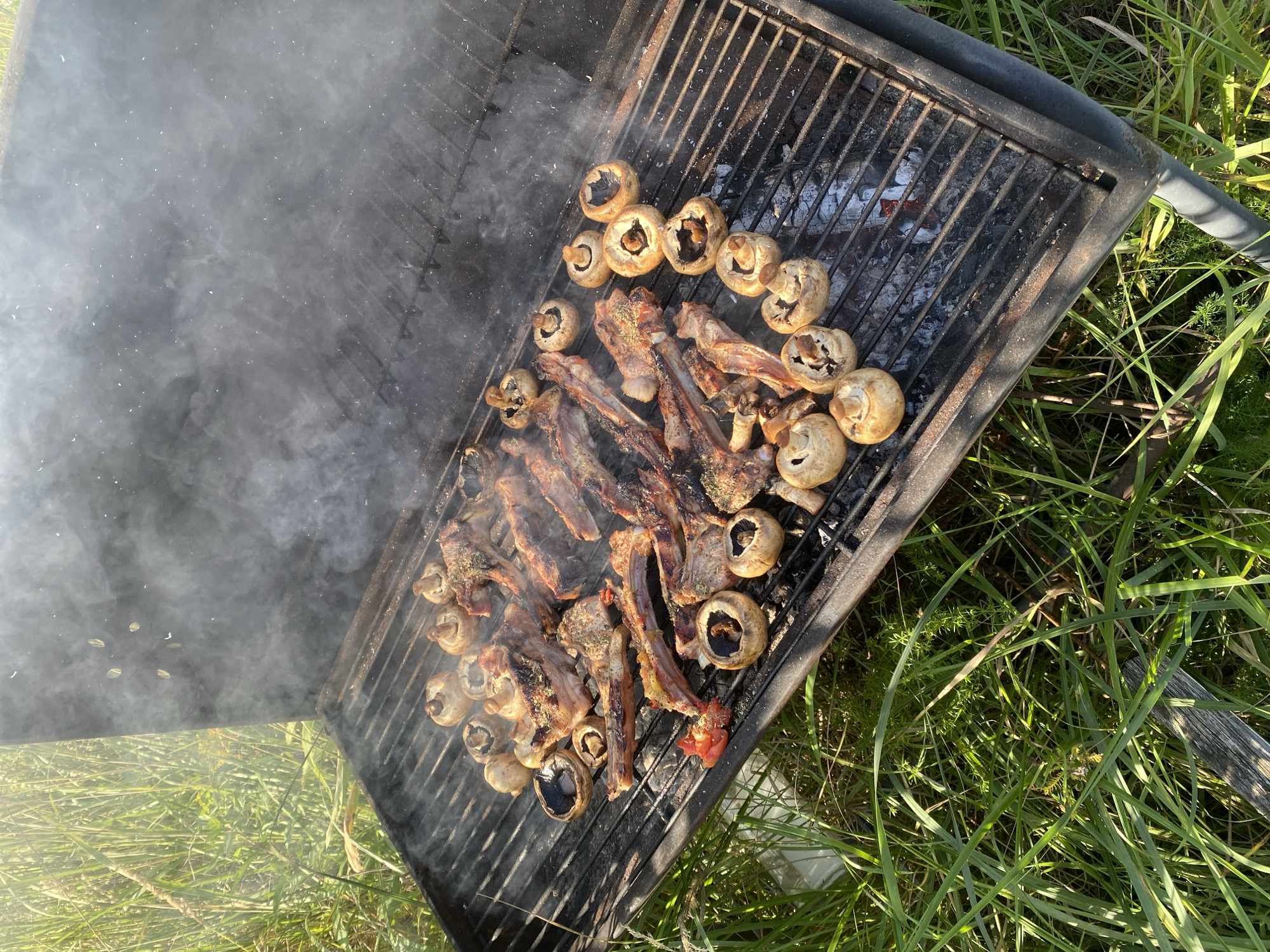 This image shows a close-up, overhead view of a barbecue grill filled with lamb chops and whole mushrooms. The lamb chops are seasoned with herbs and appear to be cooking, with smoke rising from the grill. The mushrooms are arranged around the meat, some whole and some halved. The grill is outdoors, set on a patch of green grass and surrounded by tall grass and vegetation. The scene is bright and sunny, suggesting it is daytime. There are no people visible in the image. The specific location of Lindo-Pustyn' (Kantaurovskii S/S), Russia is not discernable from the visual information provided in the image itself.